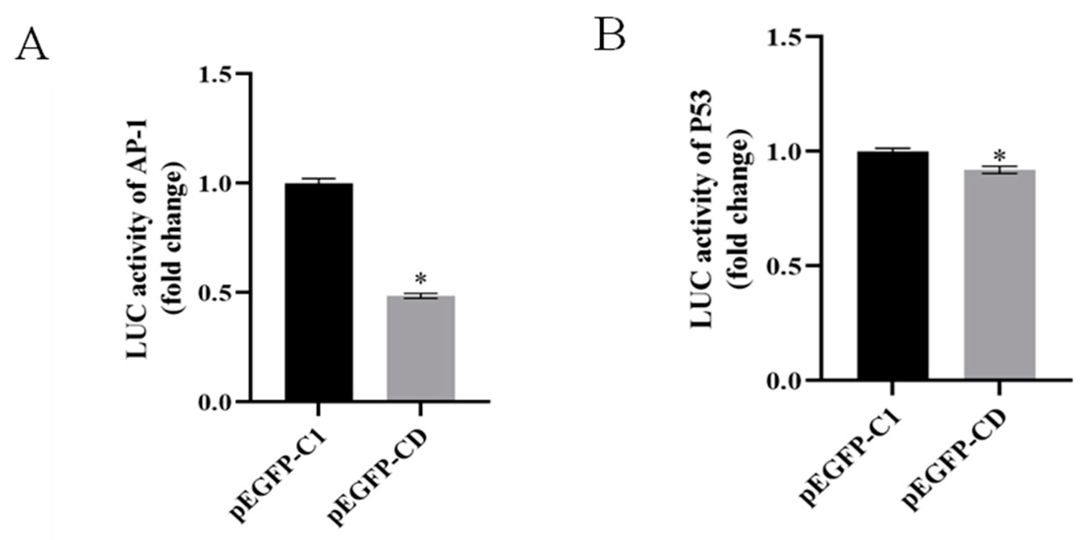 Viruses 14 01680 g004 Viruses 14 01680 g004