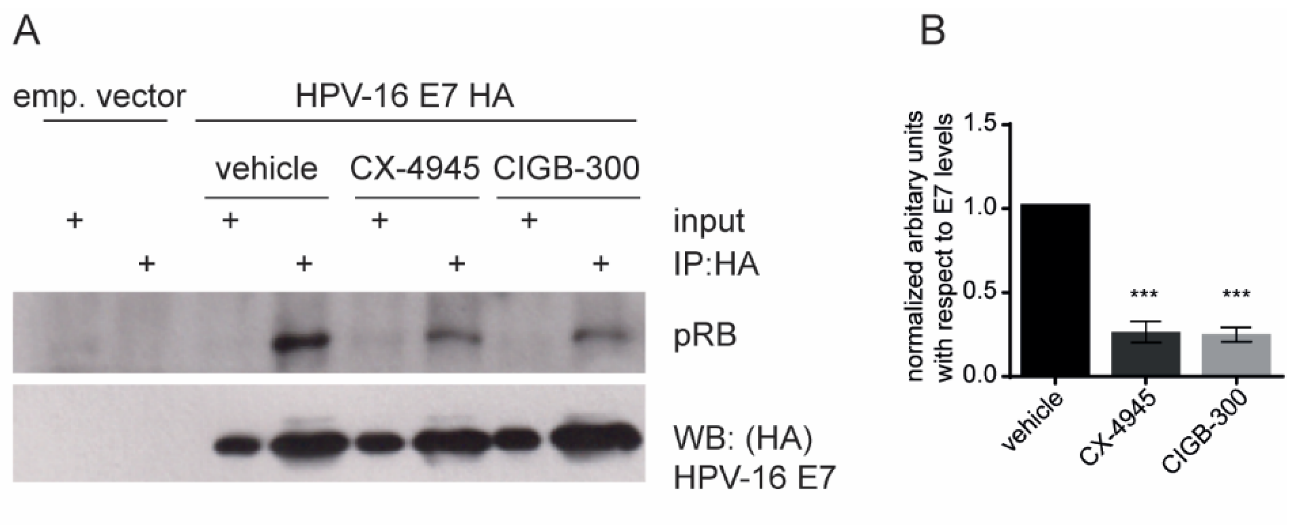 Viruses 14 01681 g004