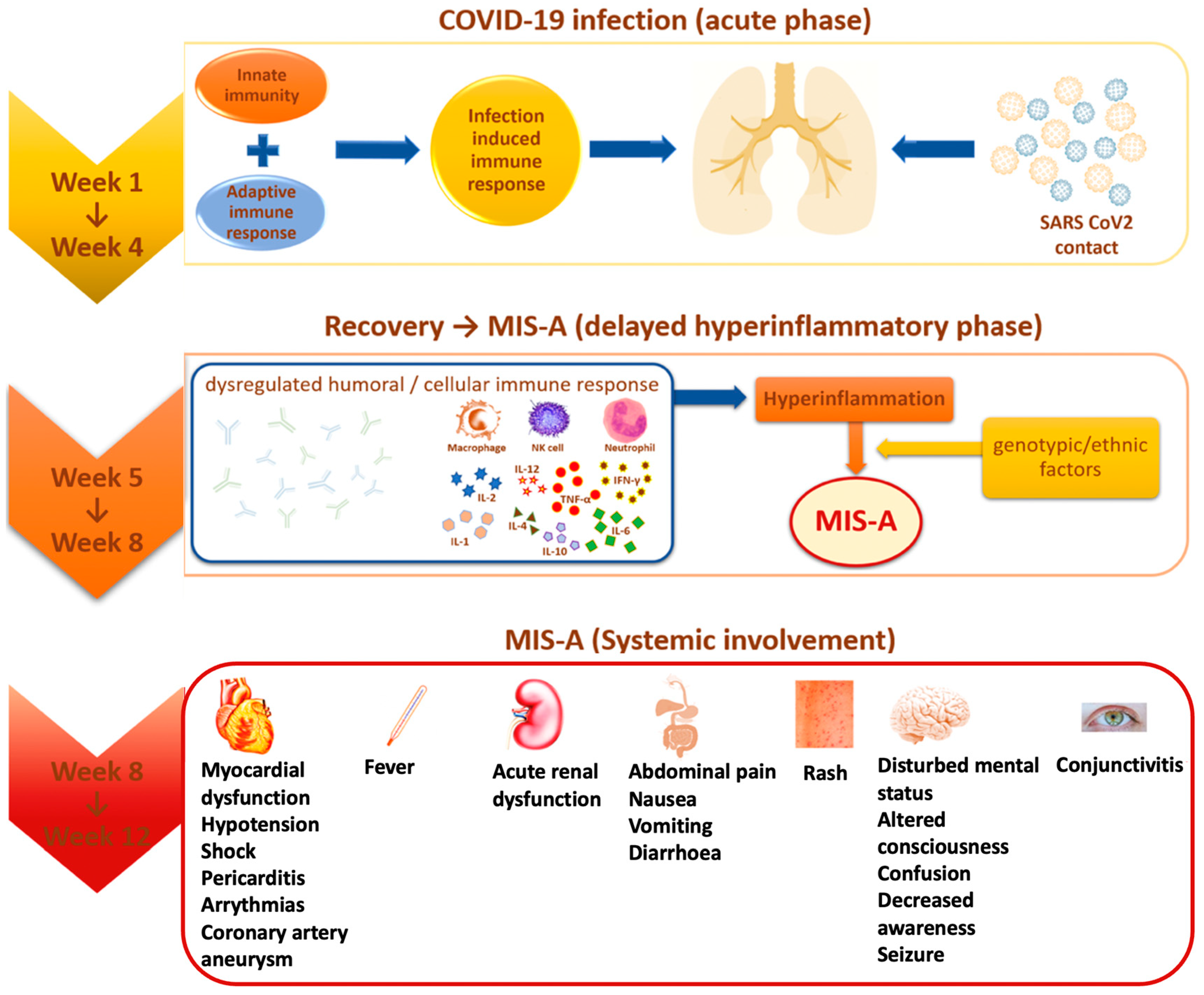 Viruses 14 01686 g001