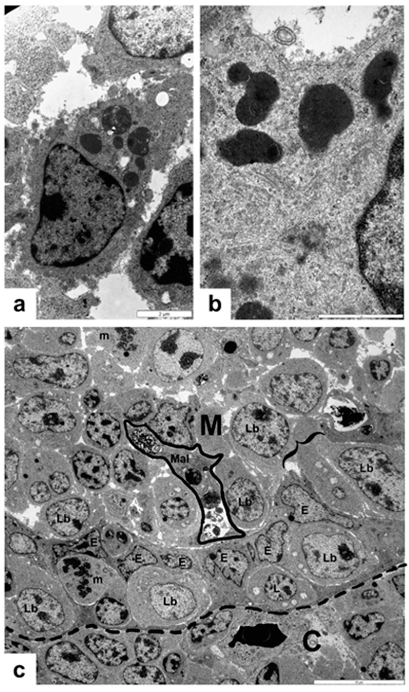 Viruses 14 01689 g001