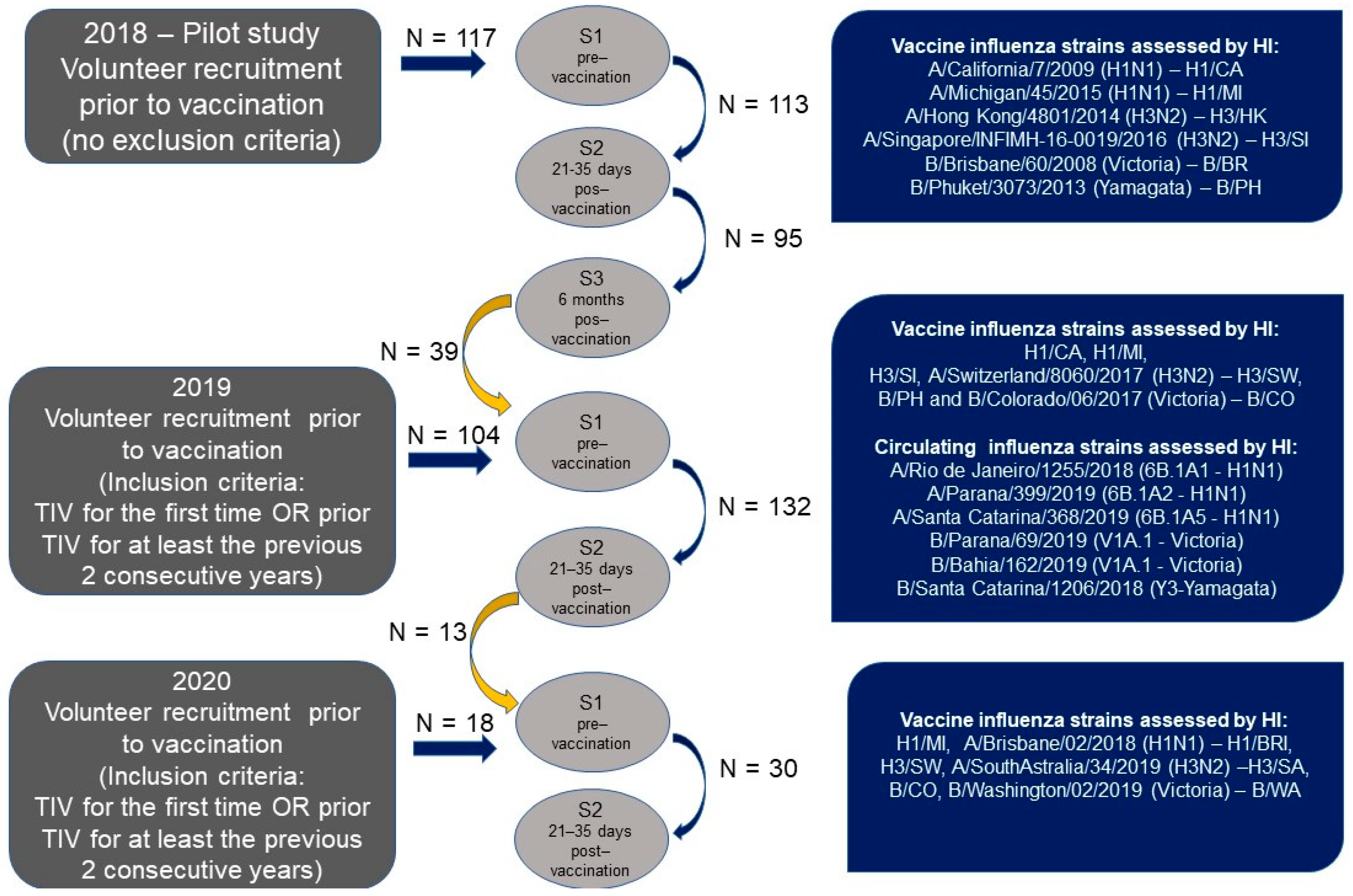 Viruses 14 01692 g002 Viruses 14 01692 g002