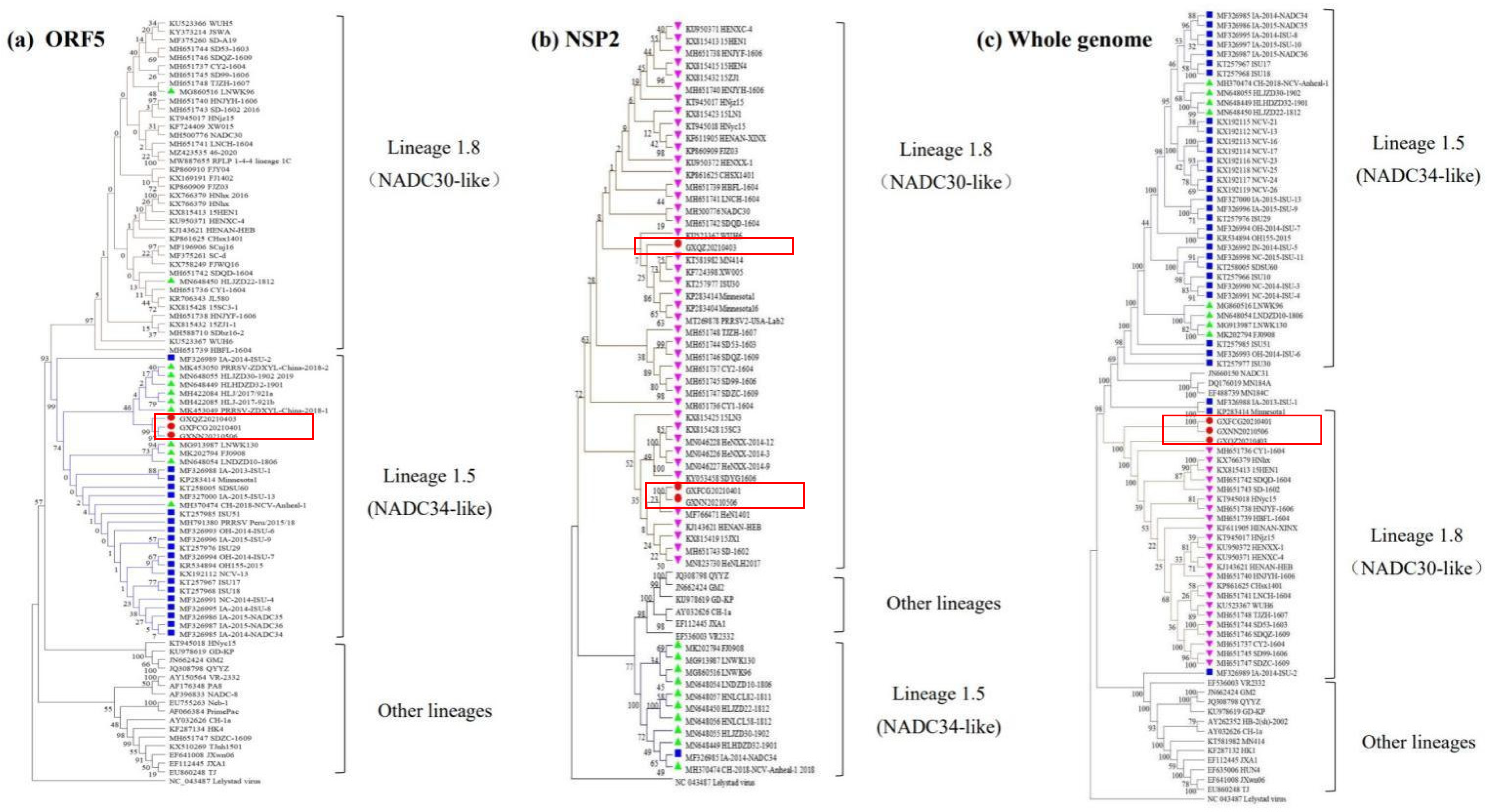 Viruses 14 01695 g002