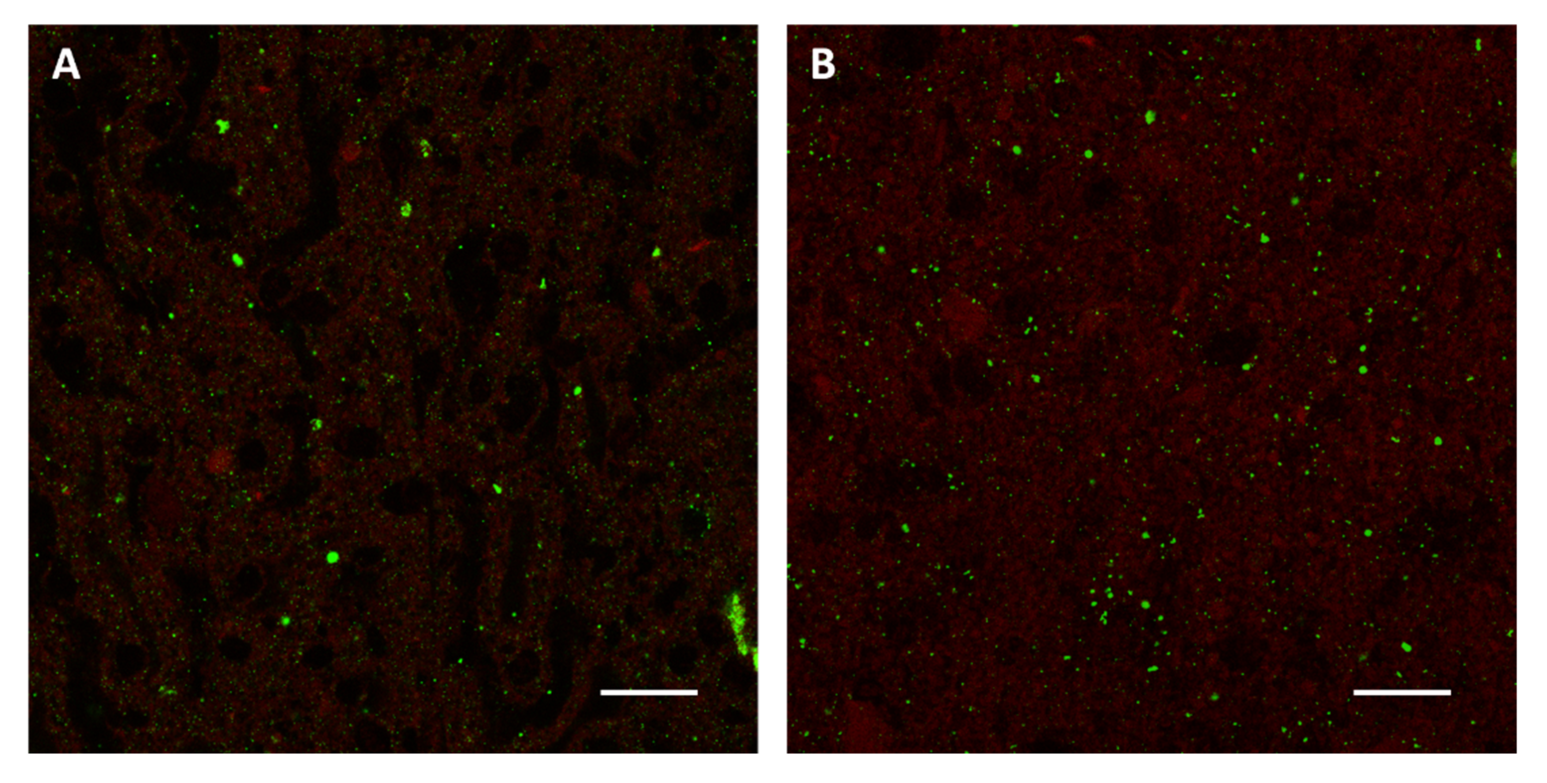 Viruses 14 01698 g002 550