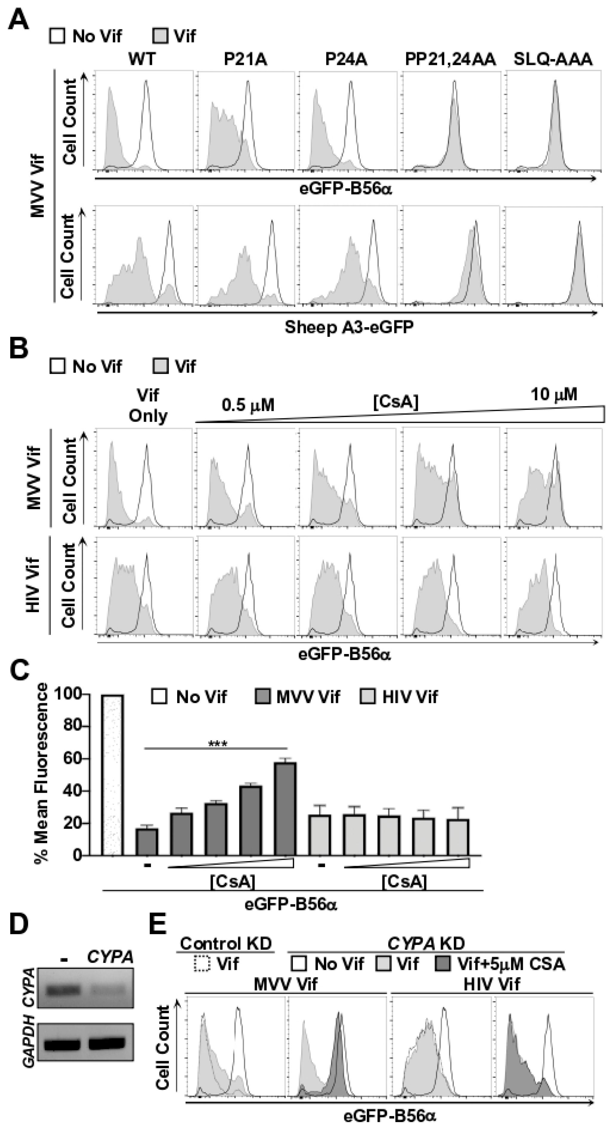 Viruses 14 01701 g002