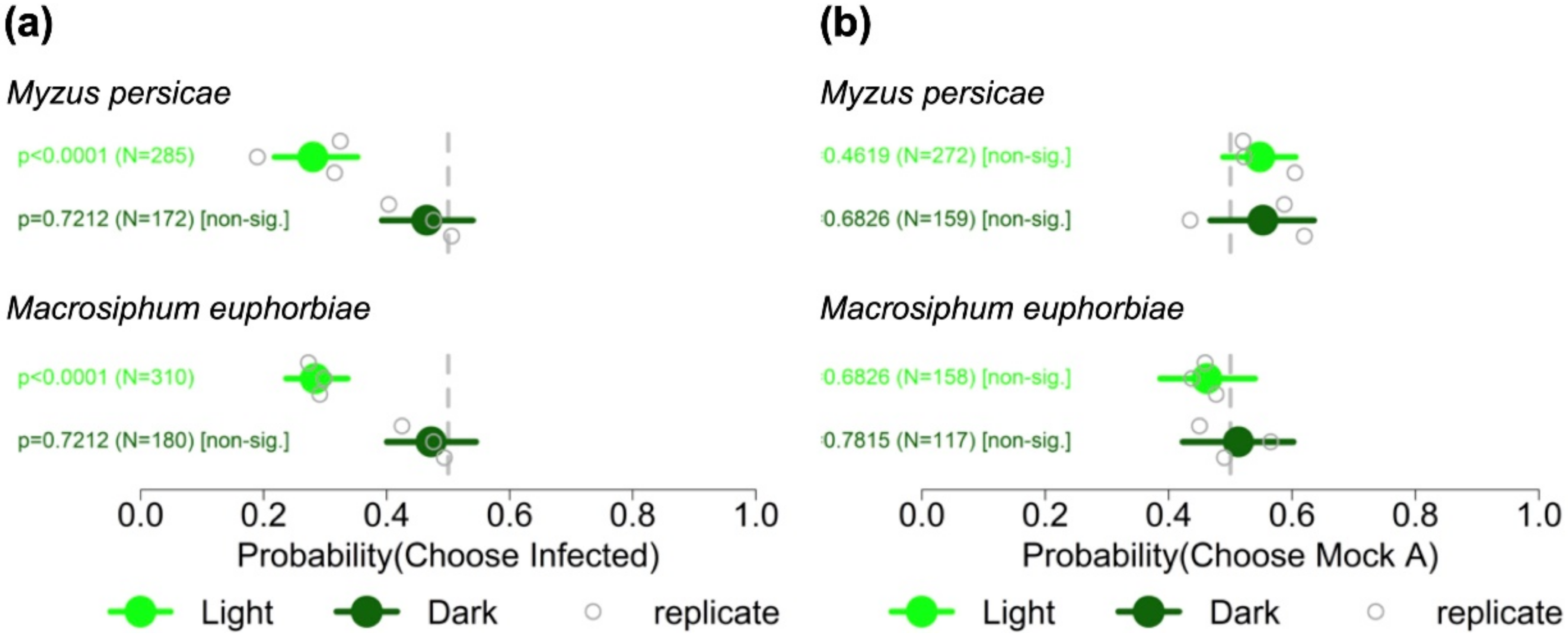 Viruses 14 01703 g002 Viruses 14 01703 g002