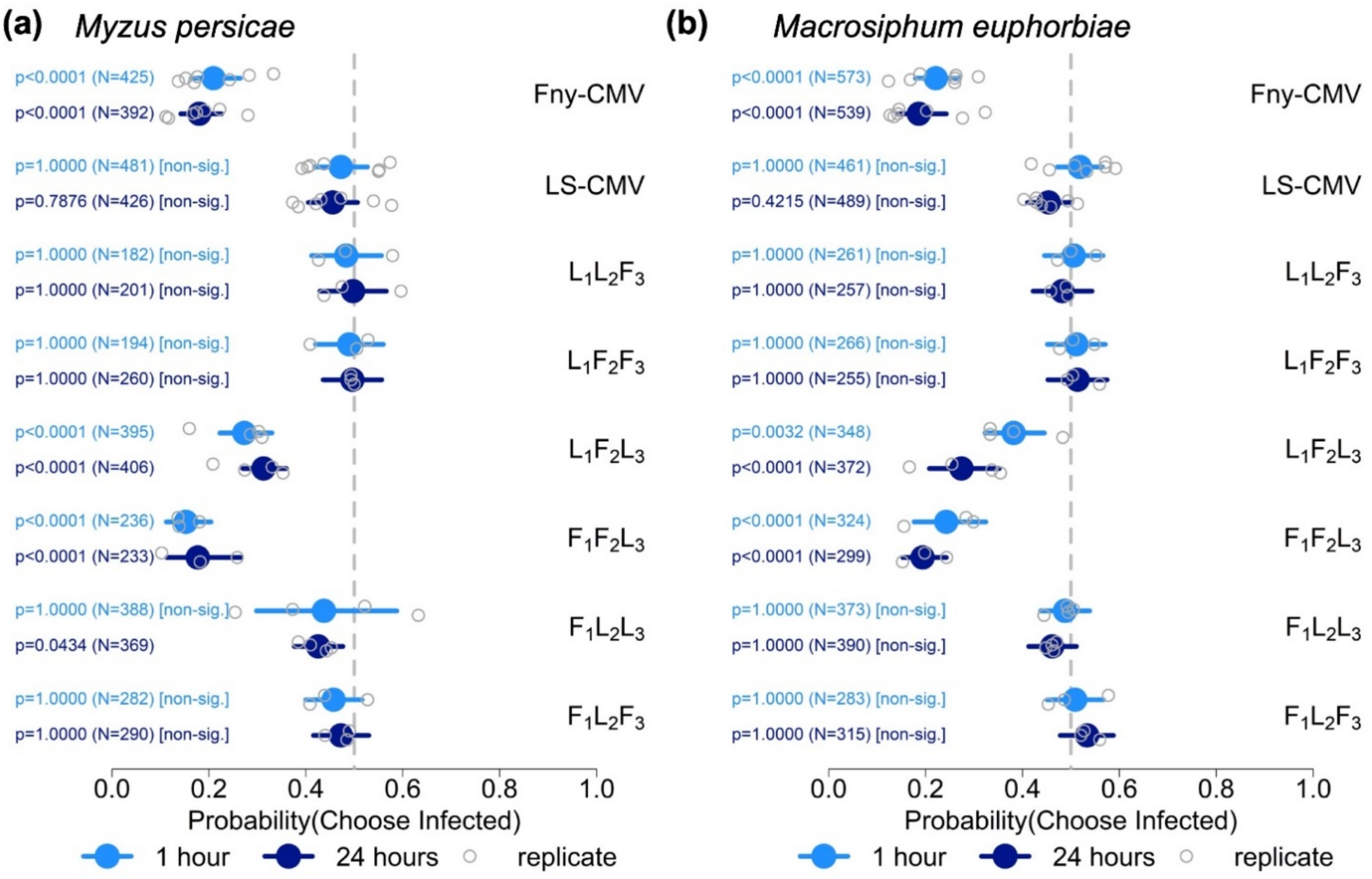 Viruses 14 01703 g005 Viruses 14 01703 g005
