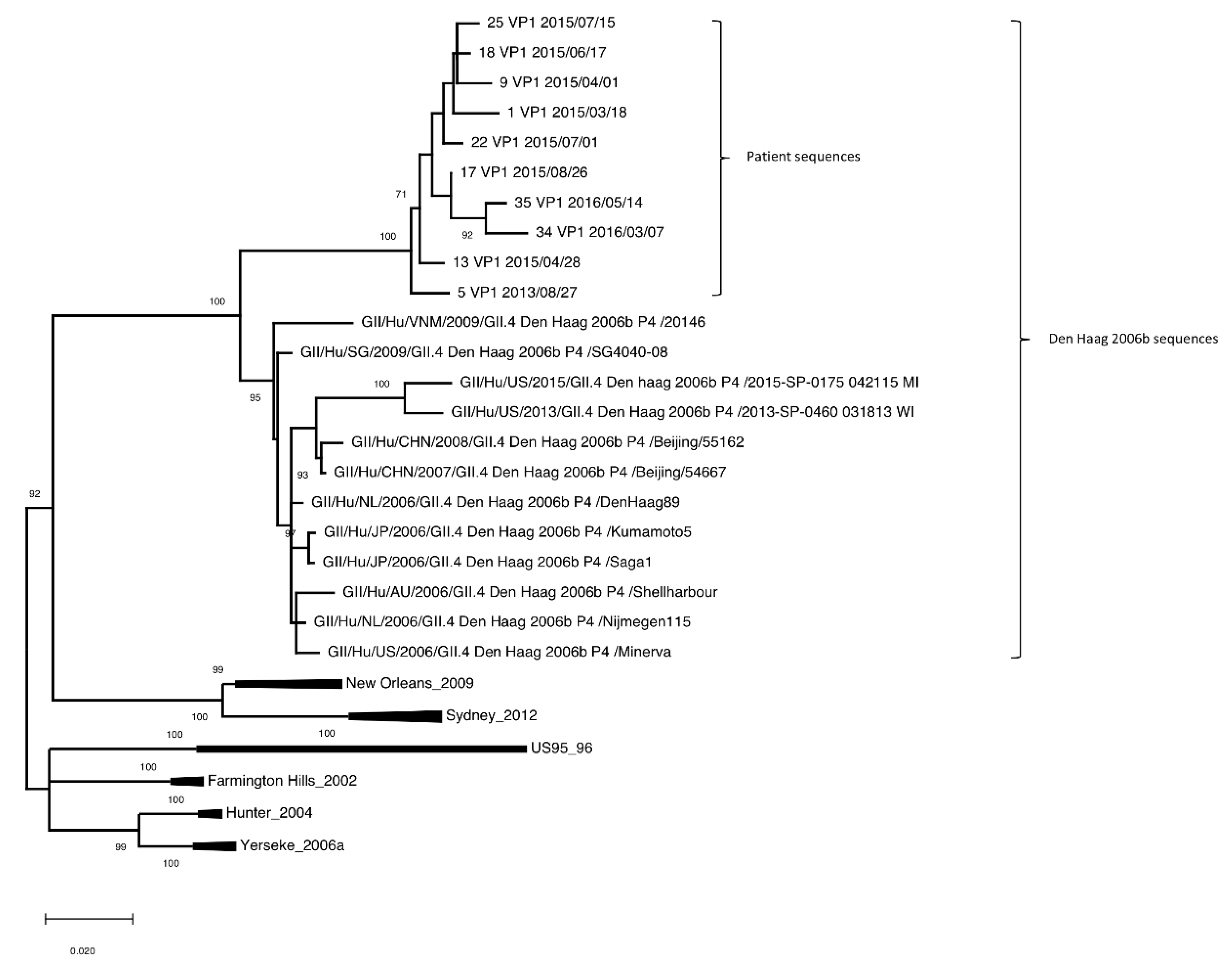 Viruses 14 01708 g001