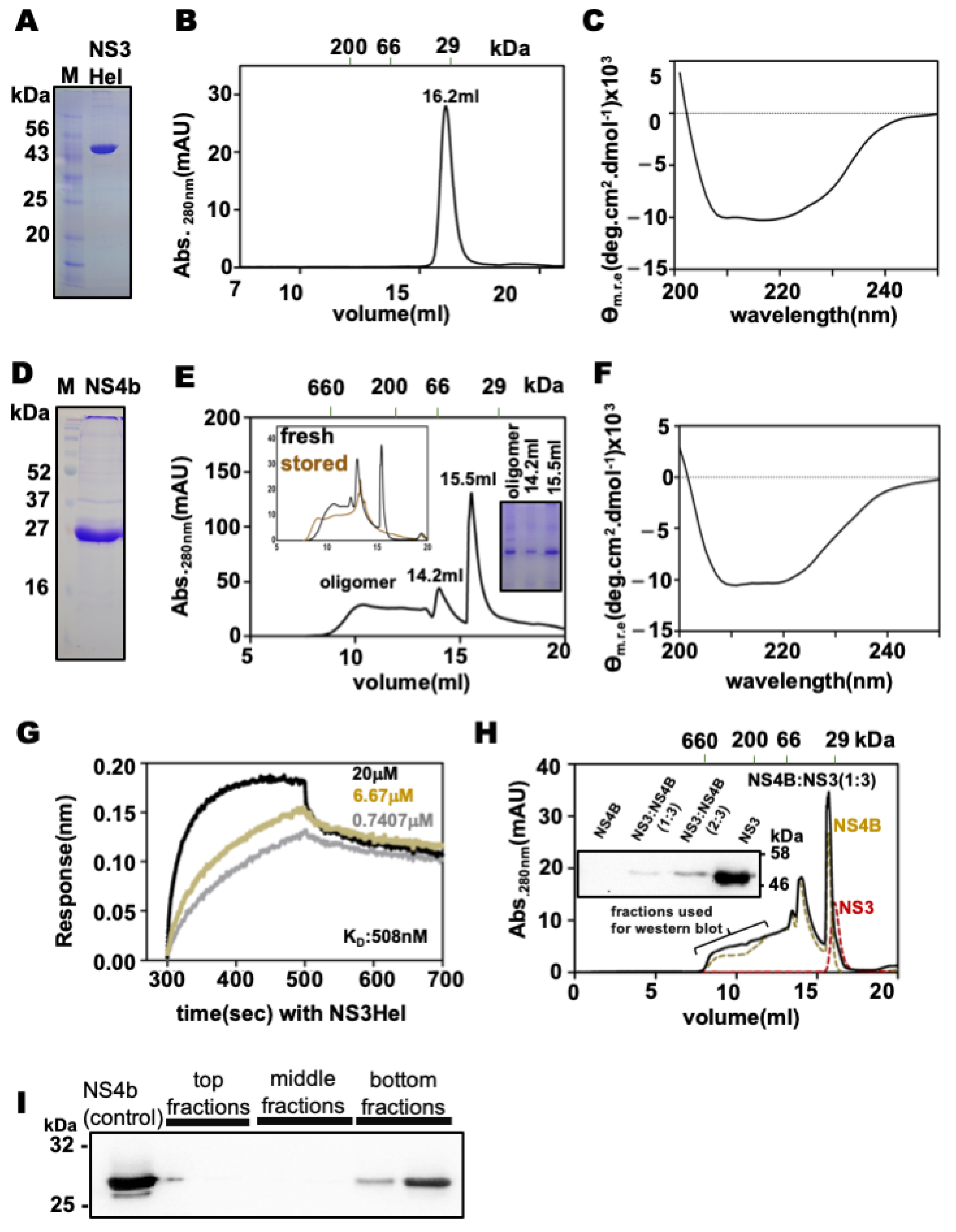 Viruses 14 01712 g003 550