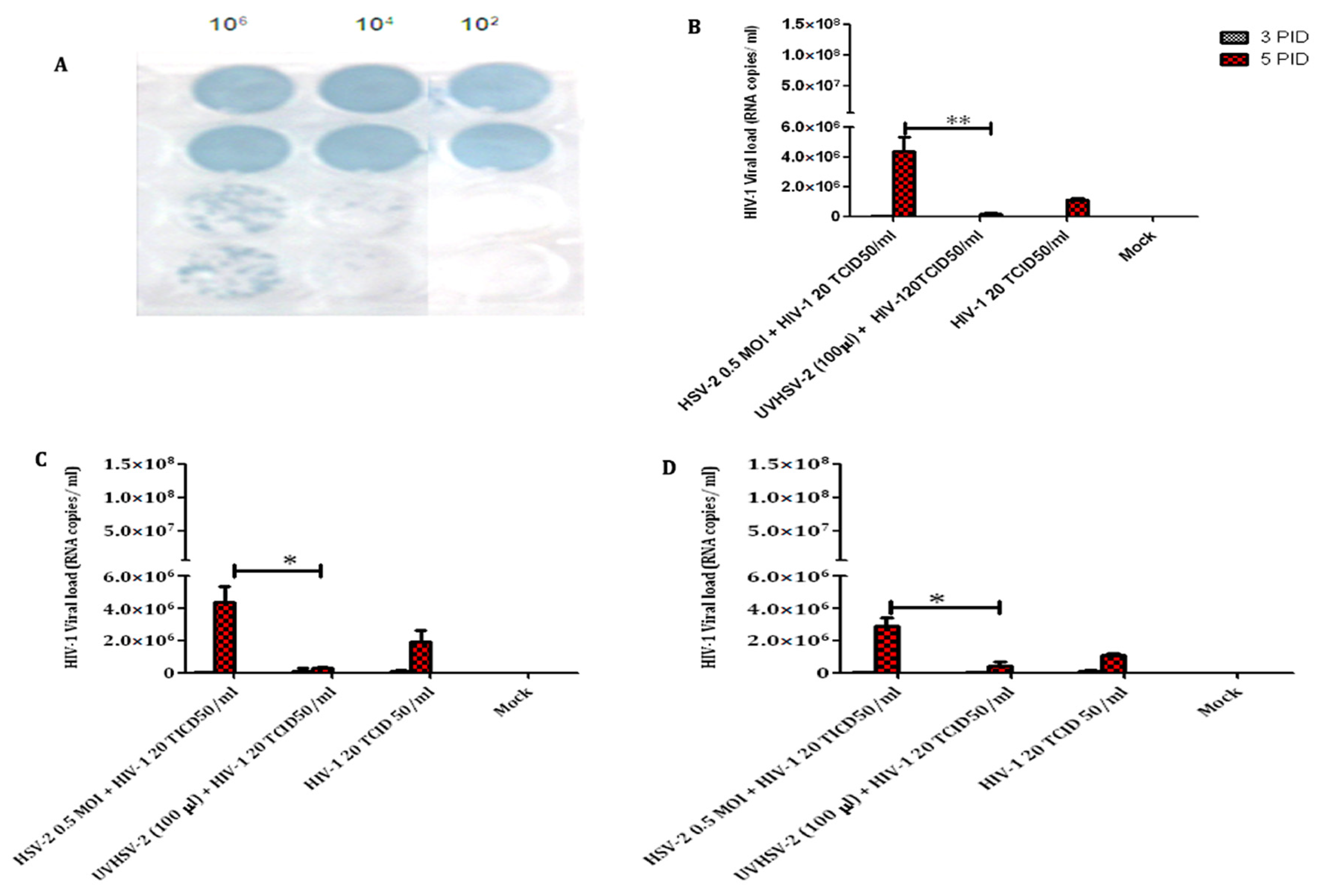 Viruses 14 01715 g002