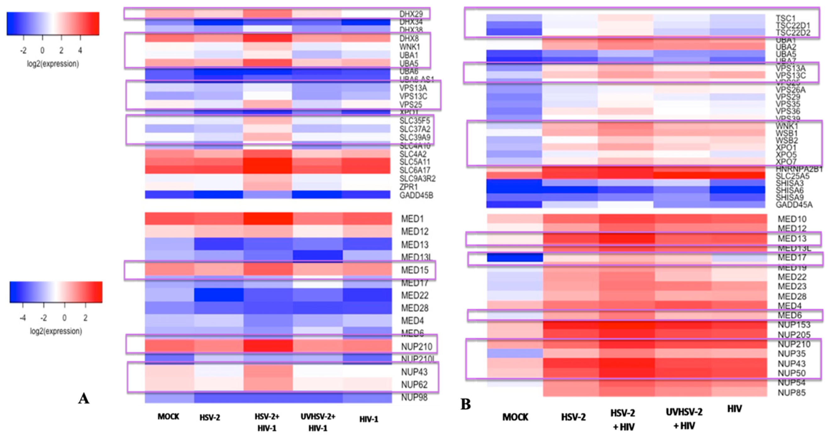 Viruses 14 01715 g005
