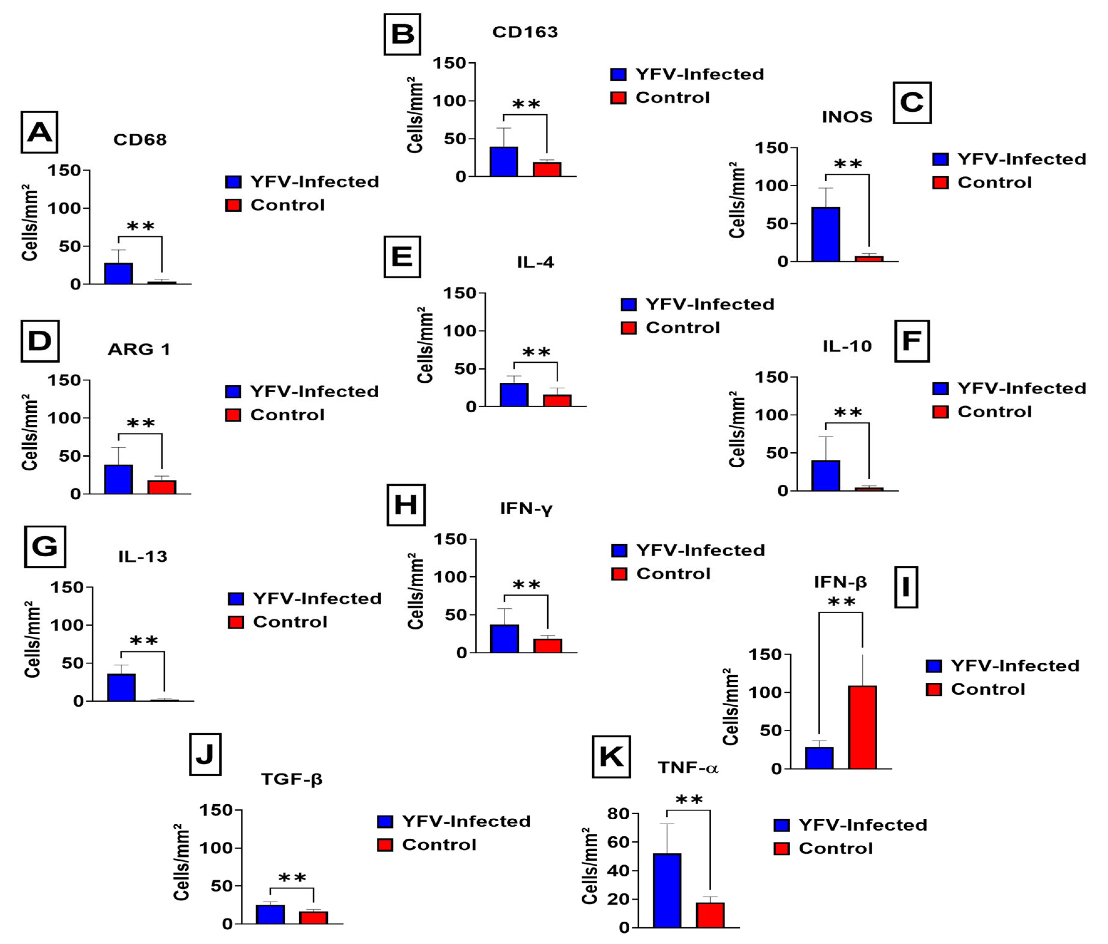 Viruses 14 01725 g002 Viruses 14 01725 g002
