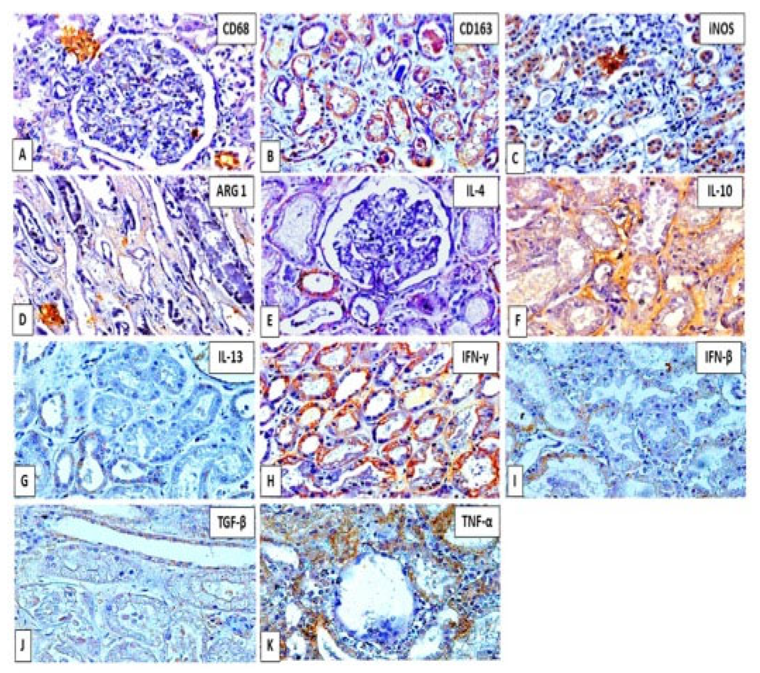 Viruses 14 01725 g003 Viruses 14 01725 g003