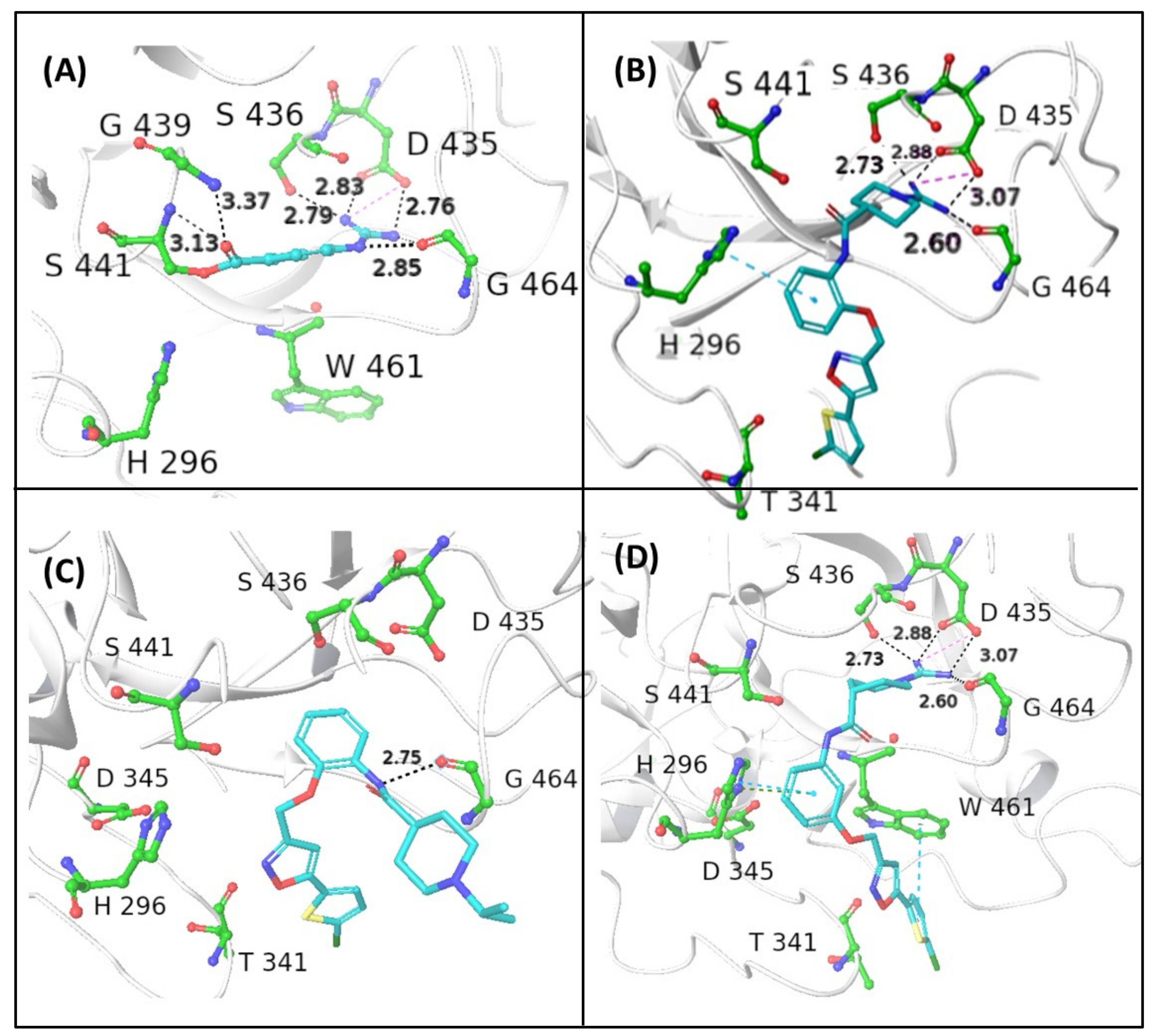 Viruses 14 01730 g003 550