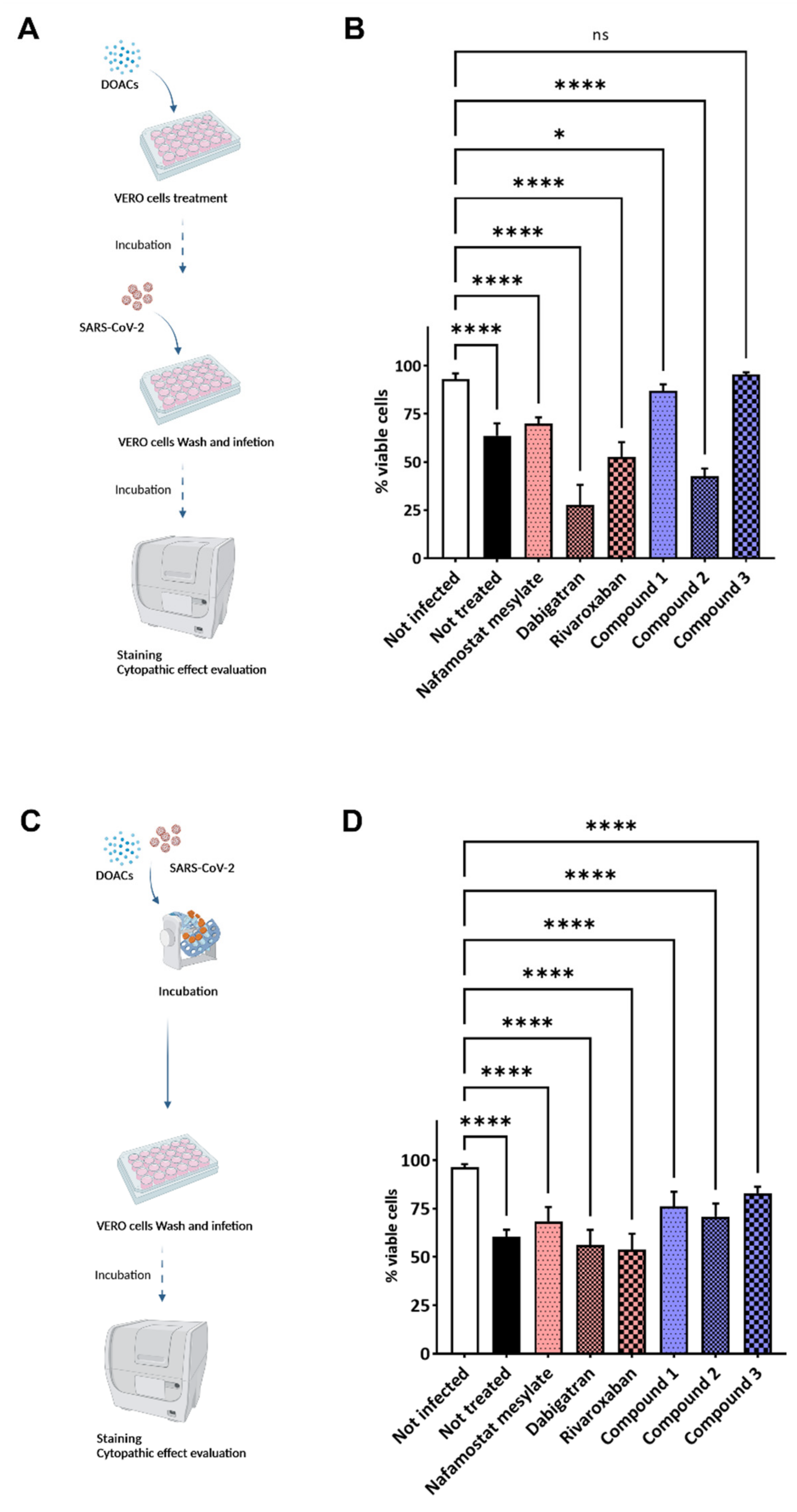 Viruses 14 01730 g004 550