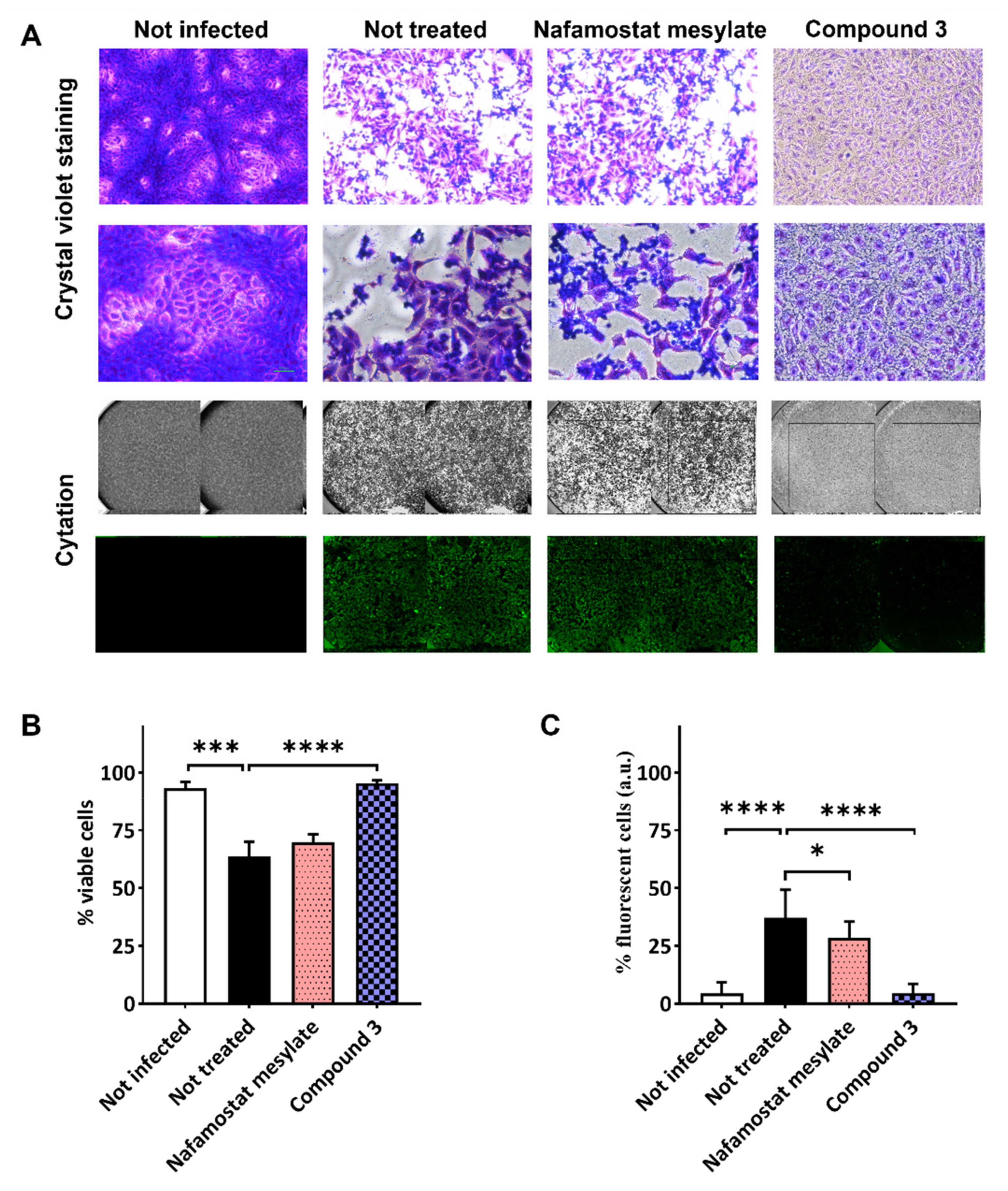 Viruses 14 01730 g005 550
