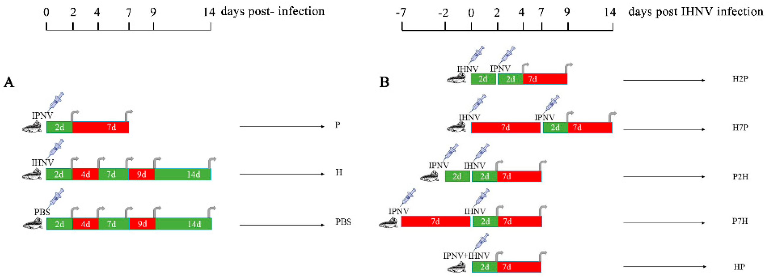 Viruses 14 01732 g001