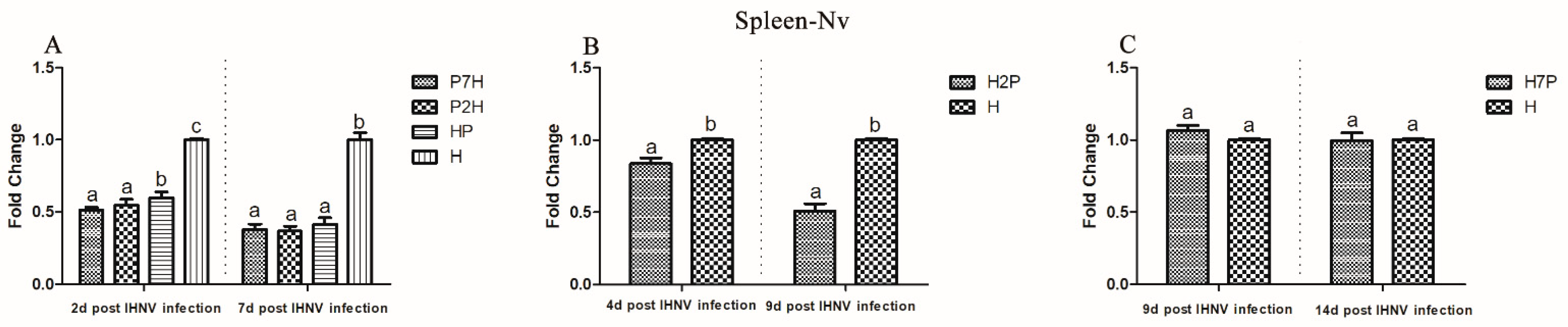 Viruses 14 01732 g007