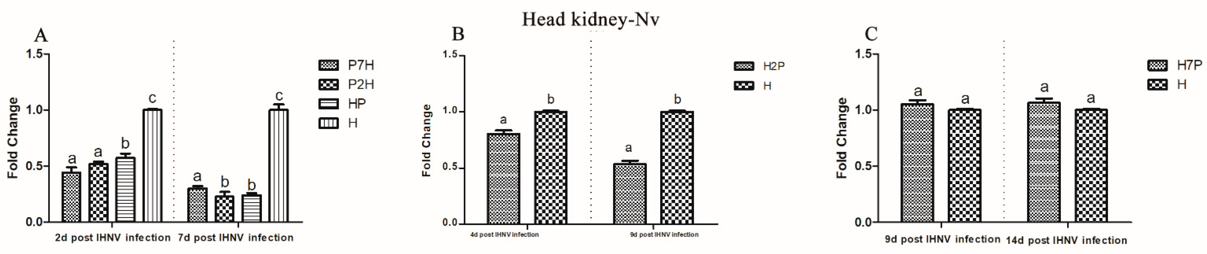 Viruses 14 01732 g008