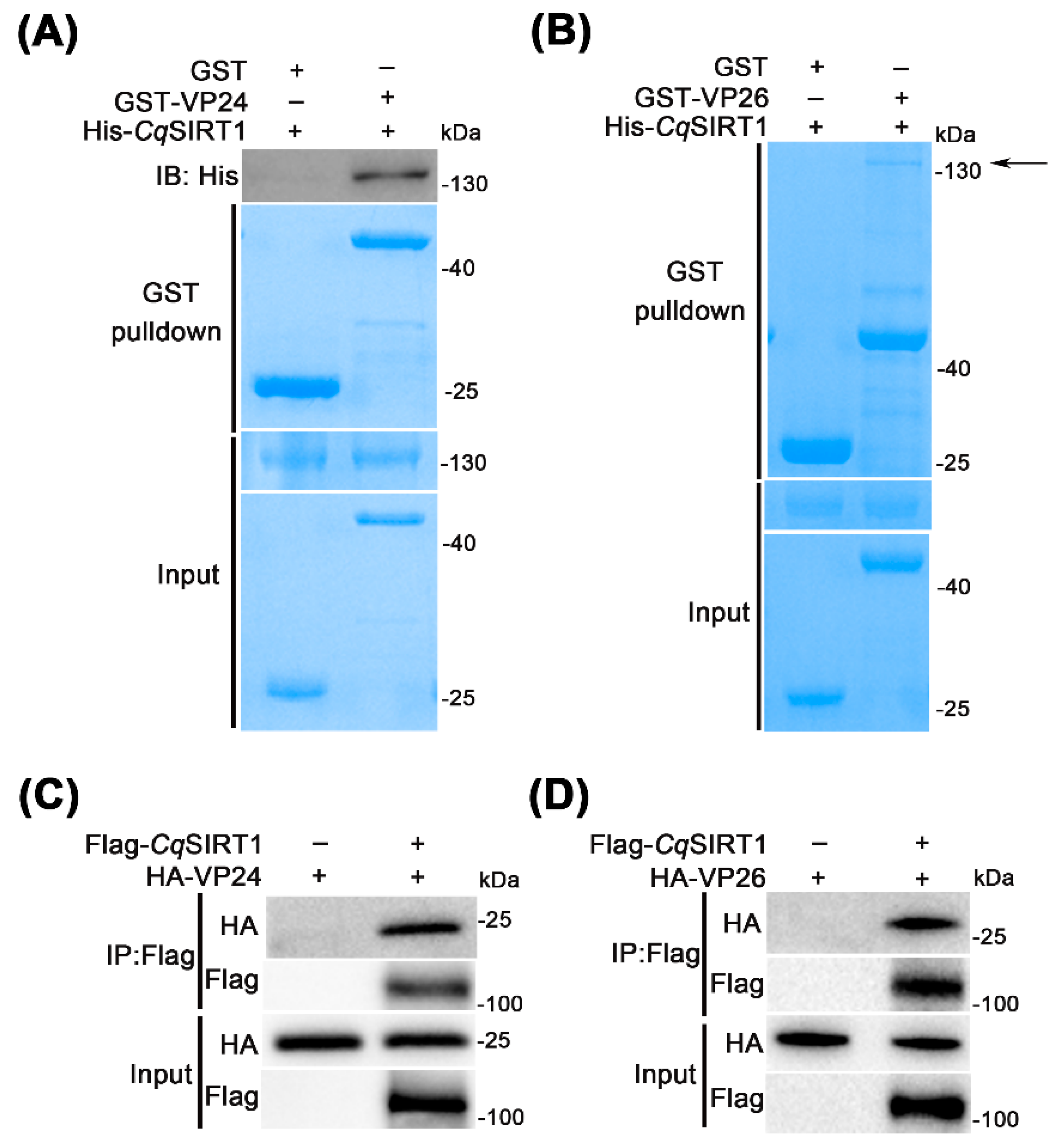 Viruses 14 01733 g006 550