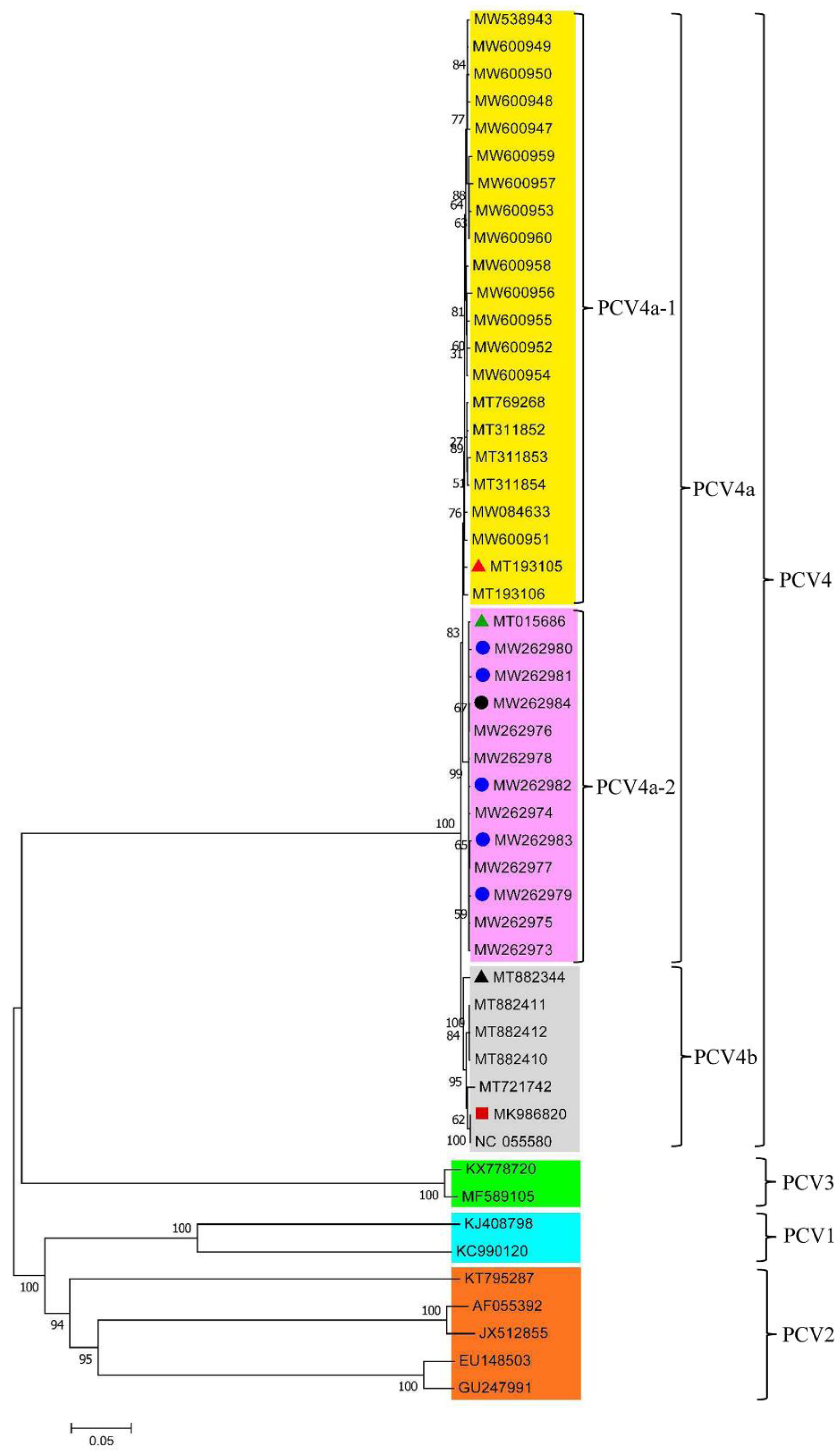 Viruses 14 01736 g002