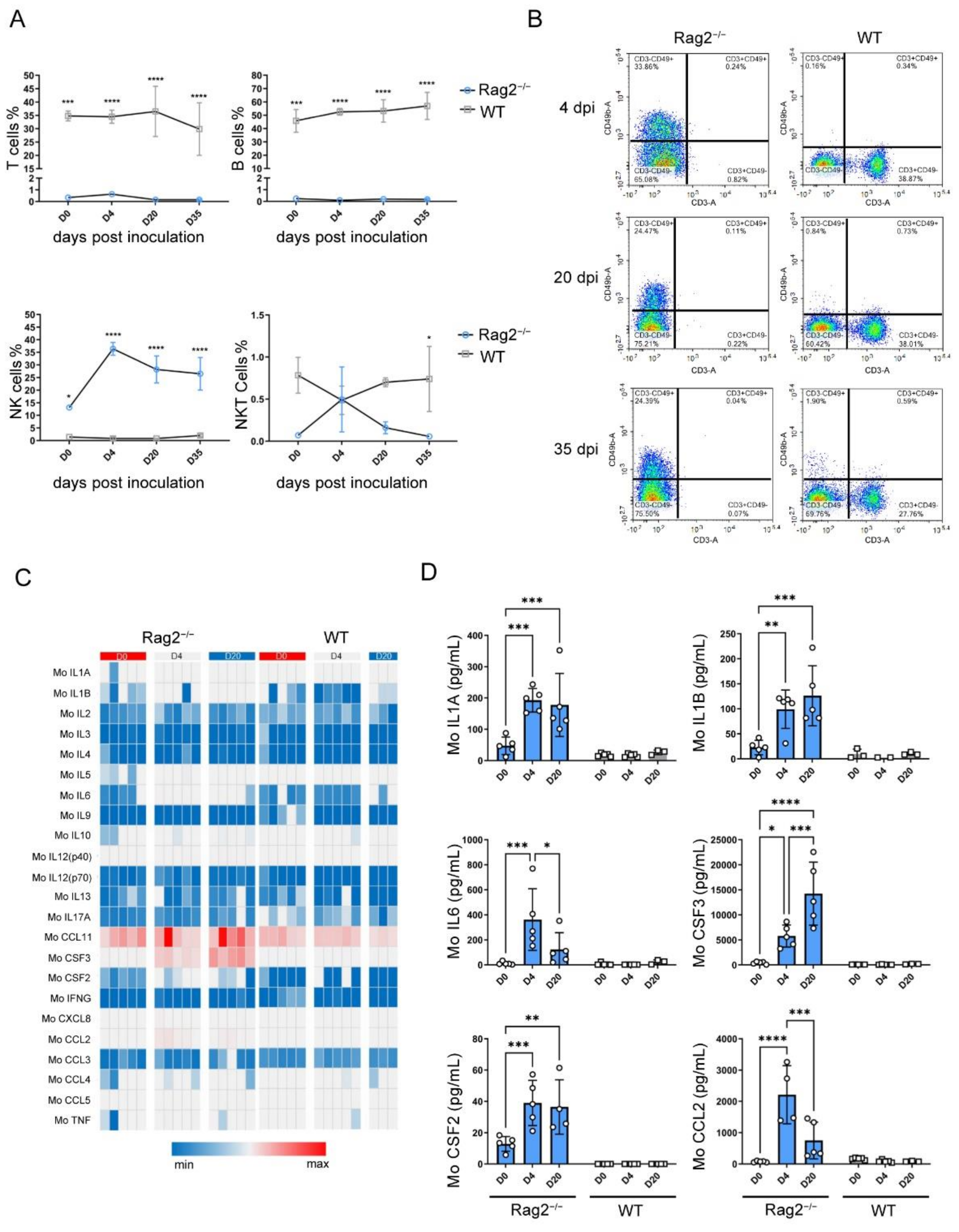 Viruses 14 01740 g004
