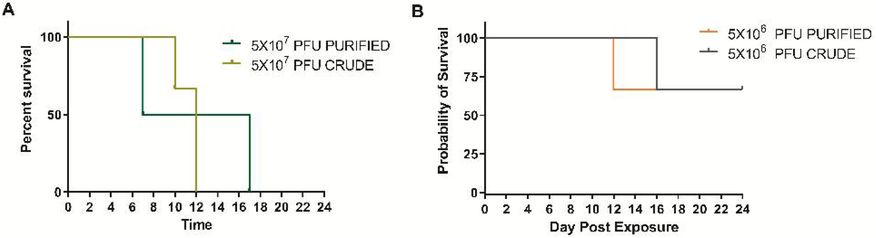 Viruses 14 01741 g001 Viruses 14 01741 g001