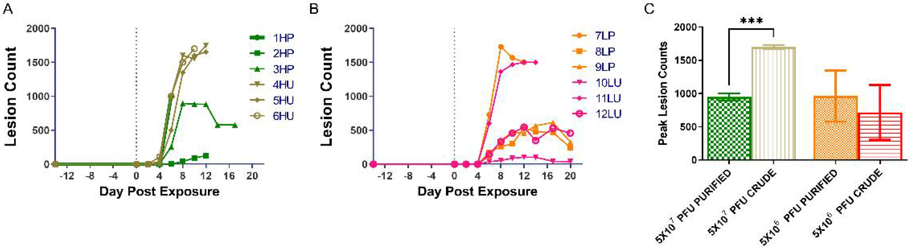 Viruses 14 01741 g003 Viruses 14 01741 g003