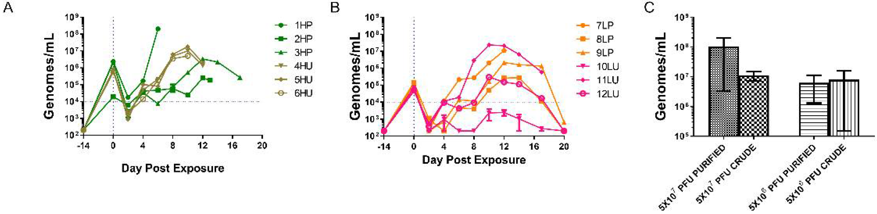 Viruses 14 01741 g004 Viruses 14 01741 g004