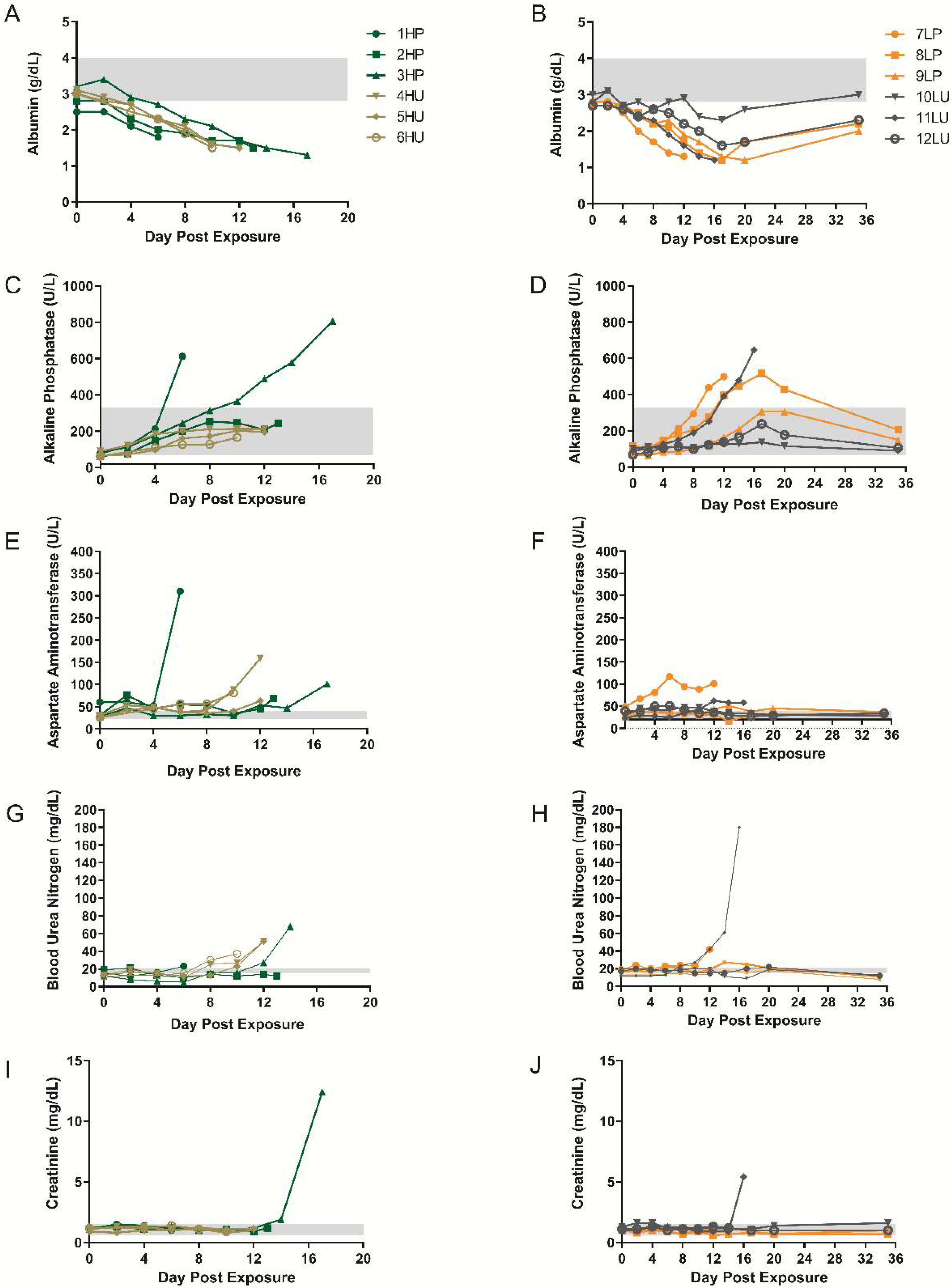 Viruses 14 01741 g006 Viruses 14 01741 g006