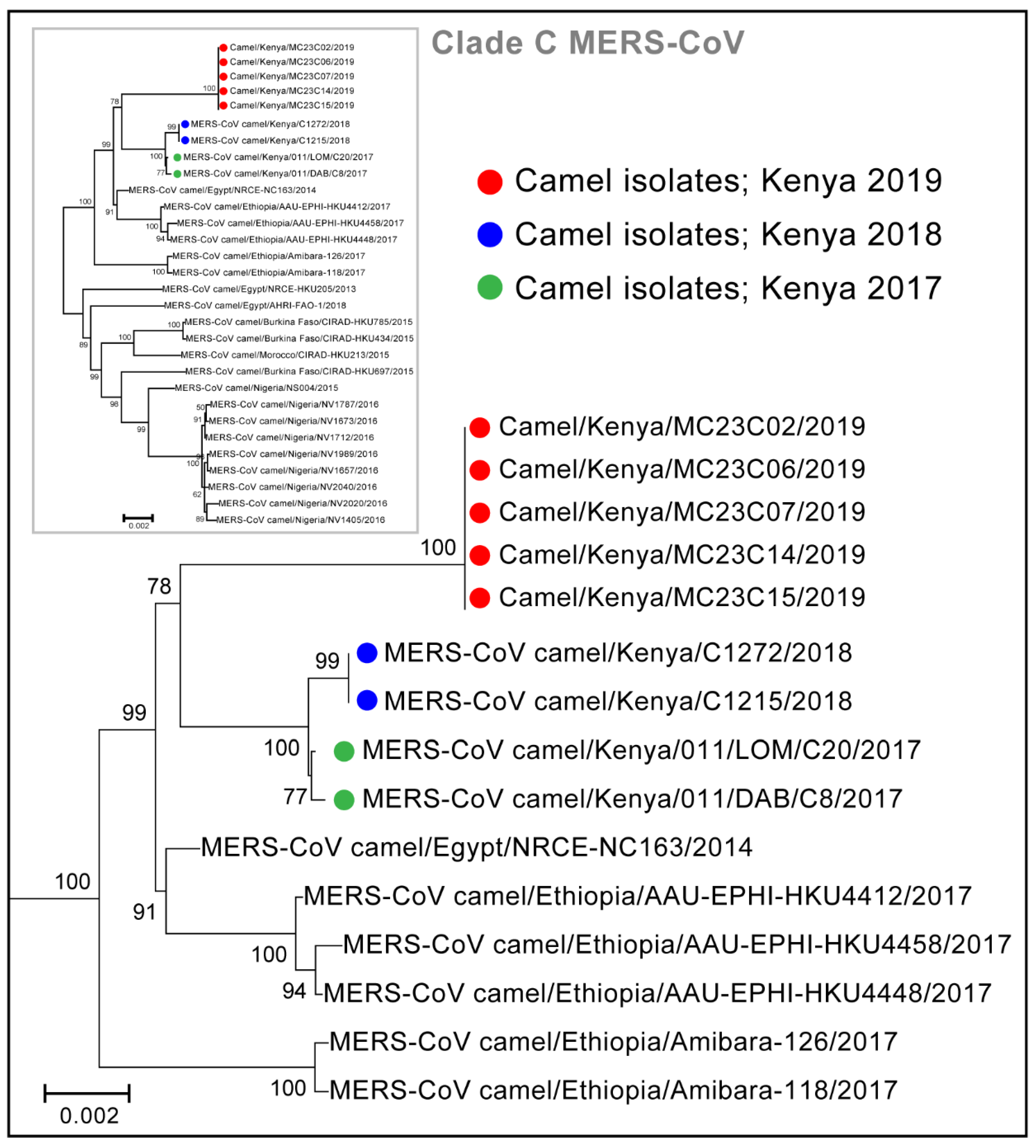 Viruses 14 01743 g004