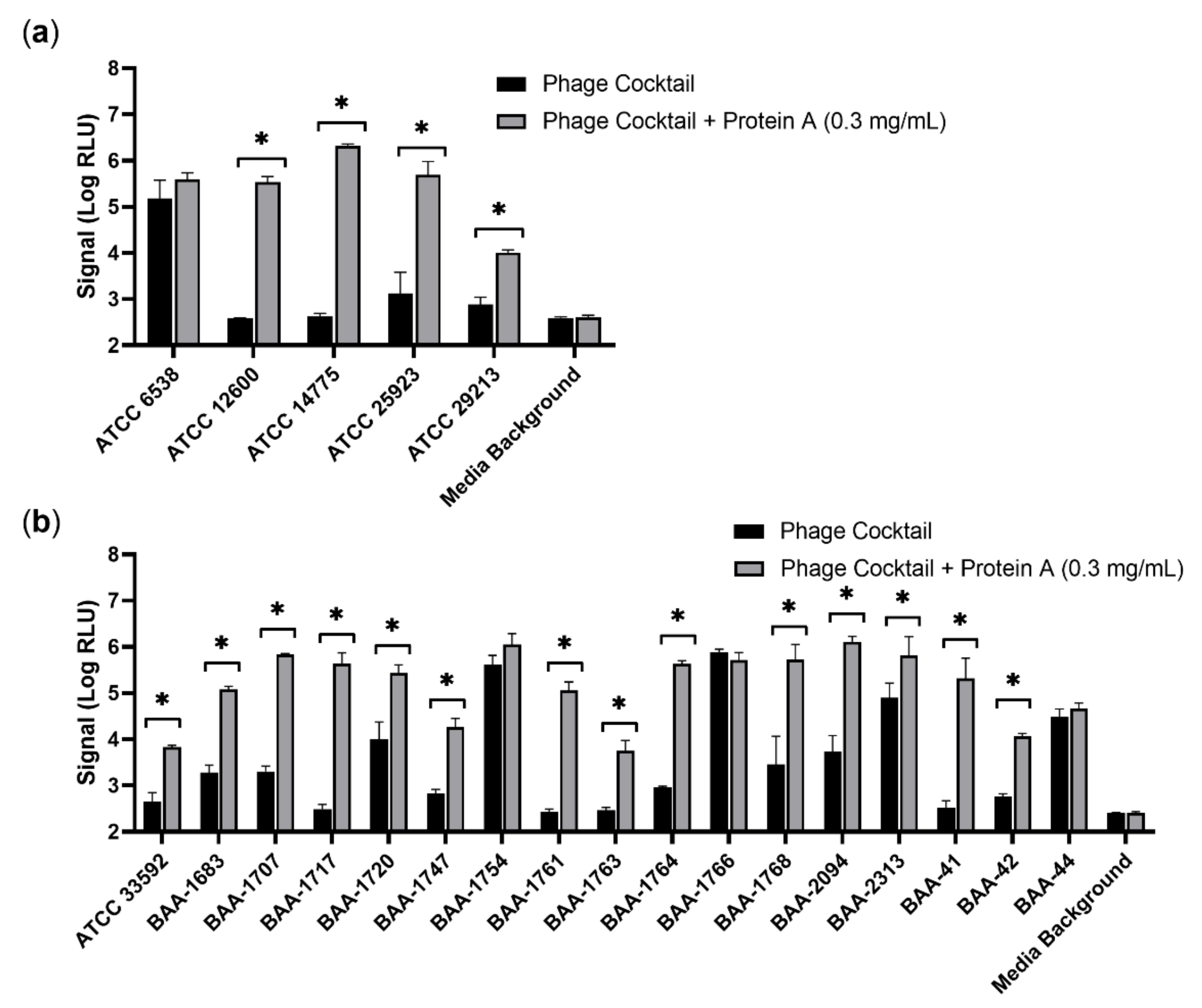 Viruses 14 01748 g005
