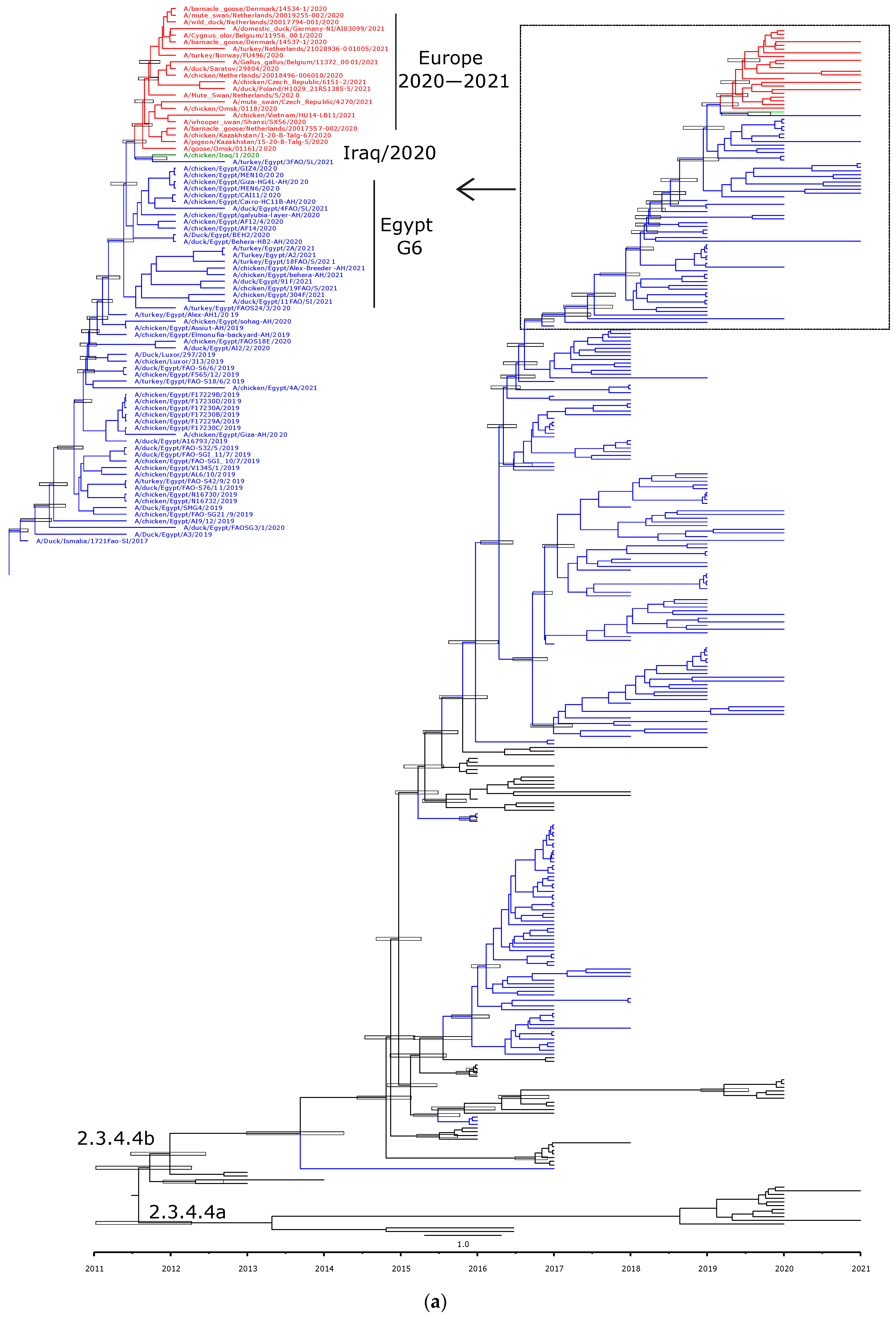 Viruses 14 01758 g002a