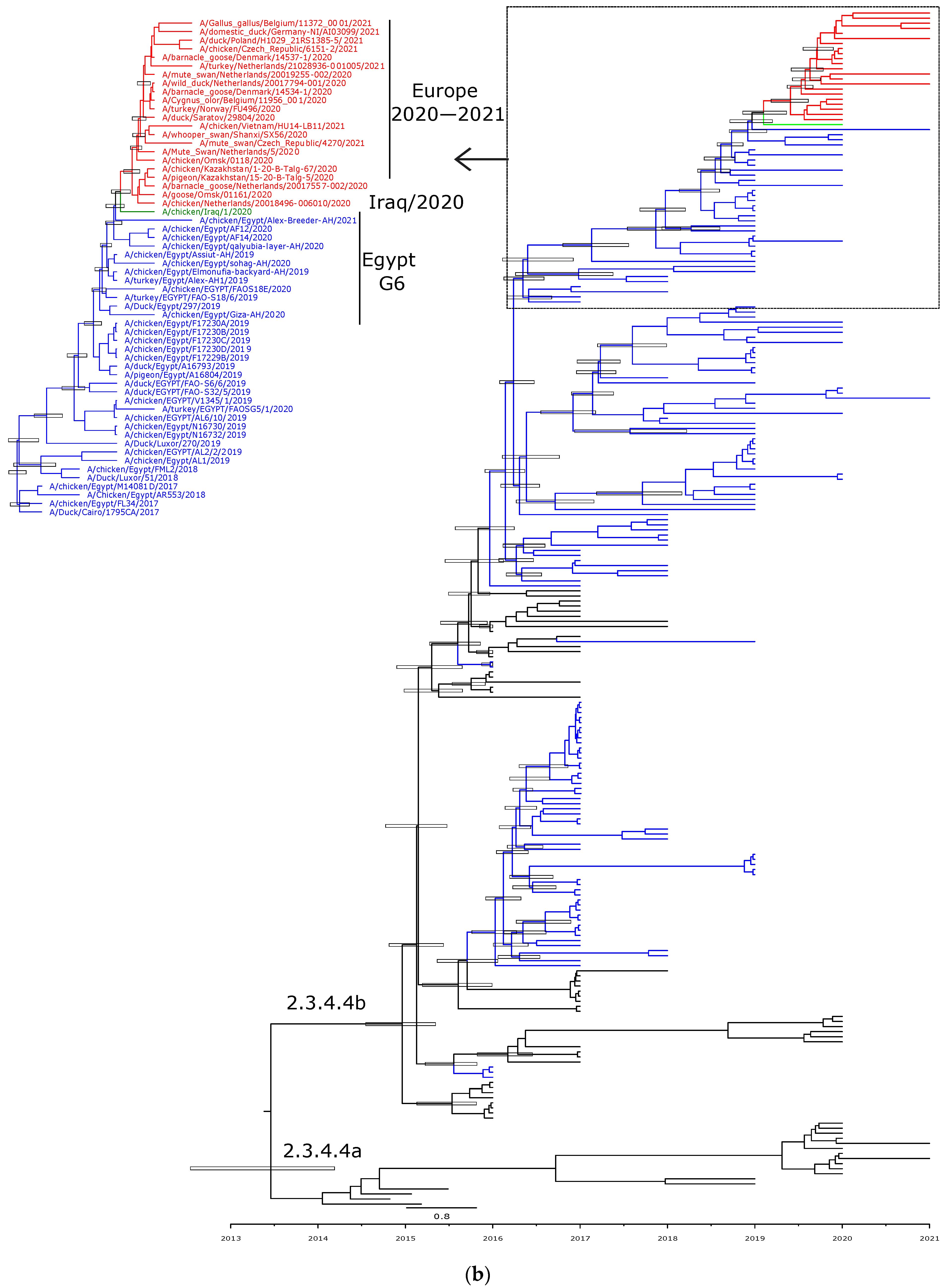 Viruses 14 01758 g002b