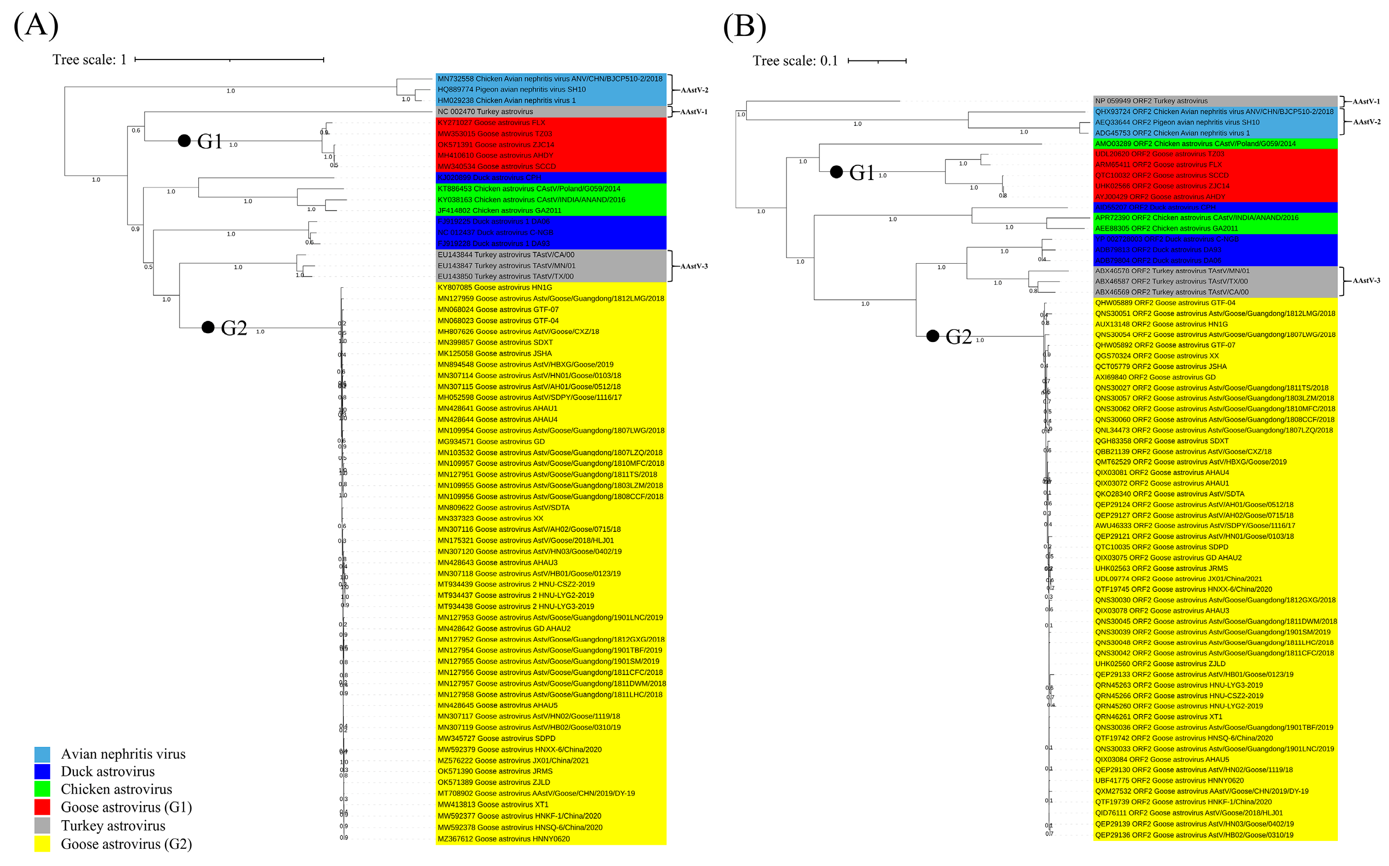 Viruses 14 01759 g003