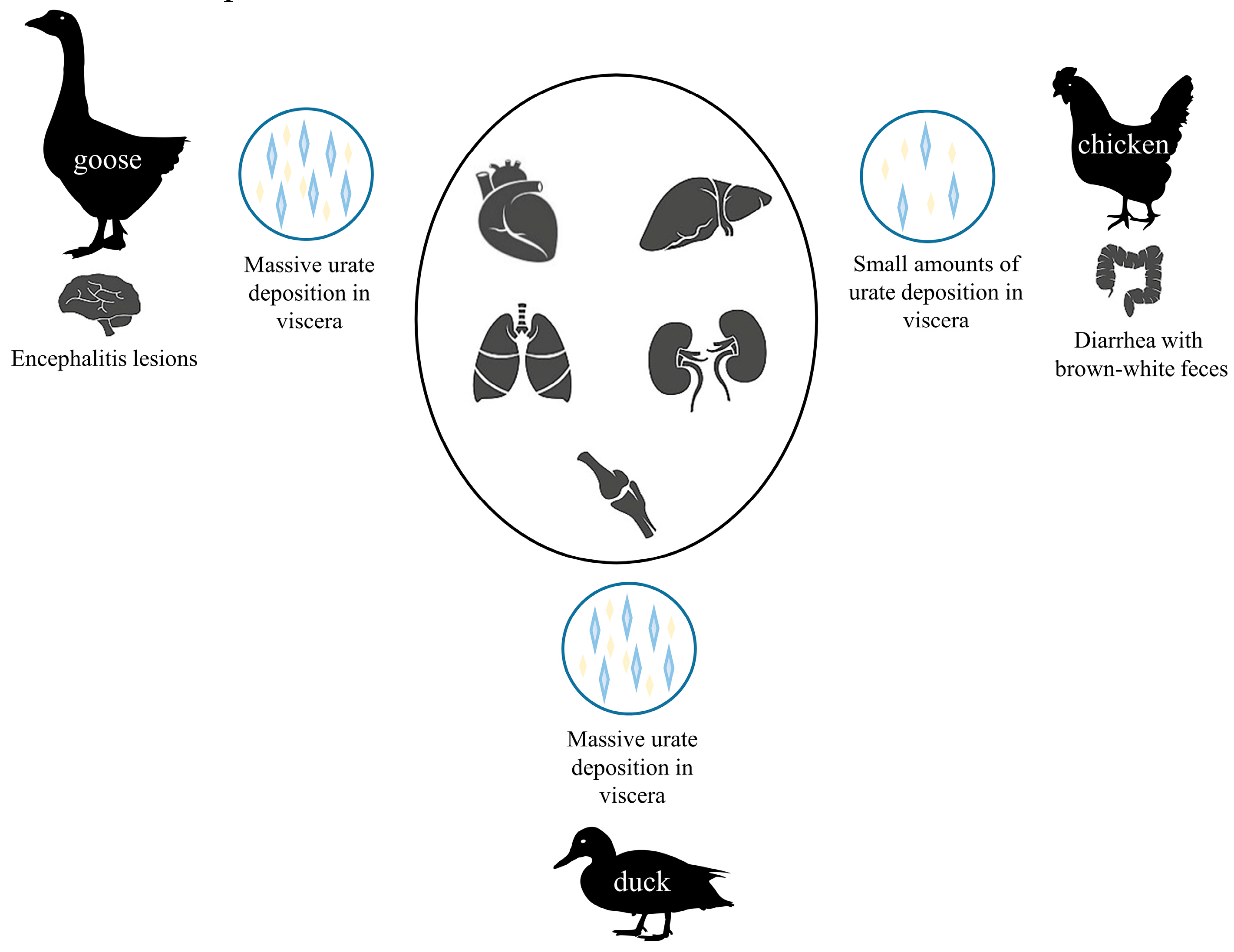 Viruses 14 01759 g005