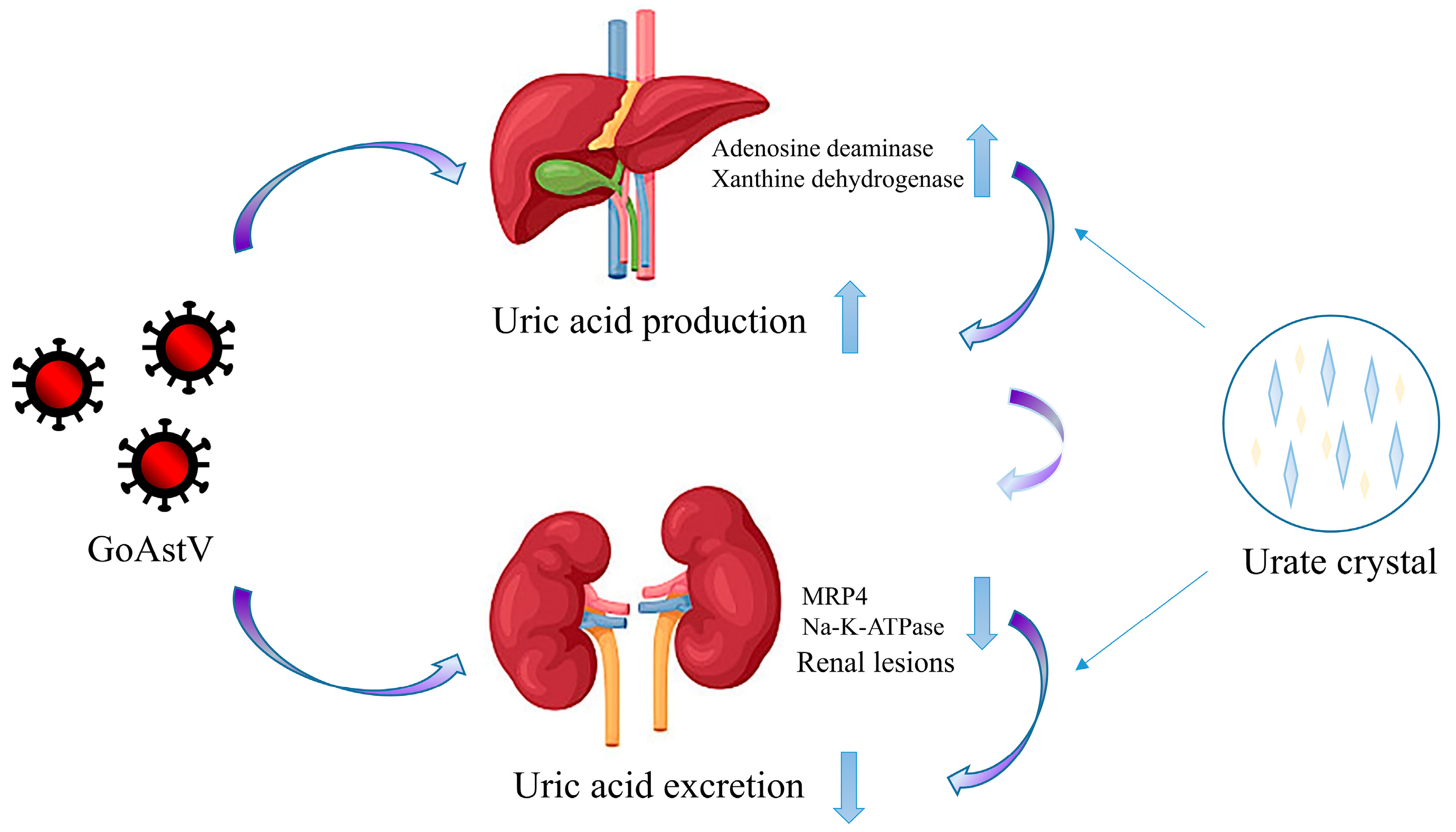 Viruses 14 01759 g006