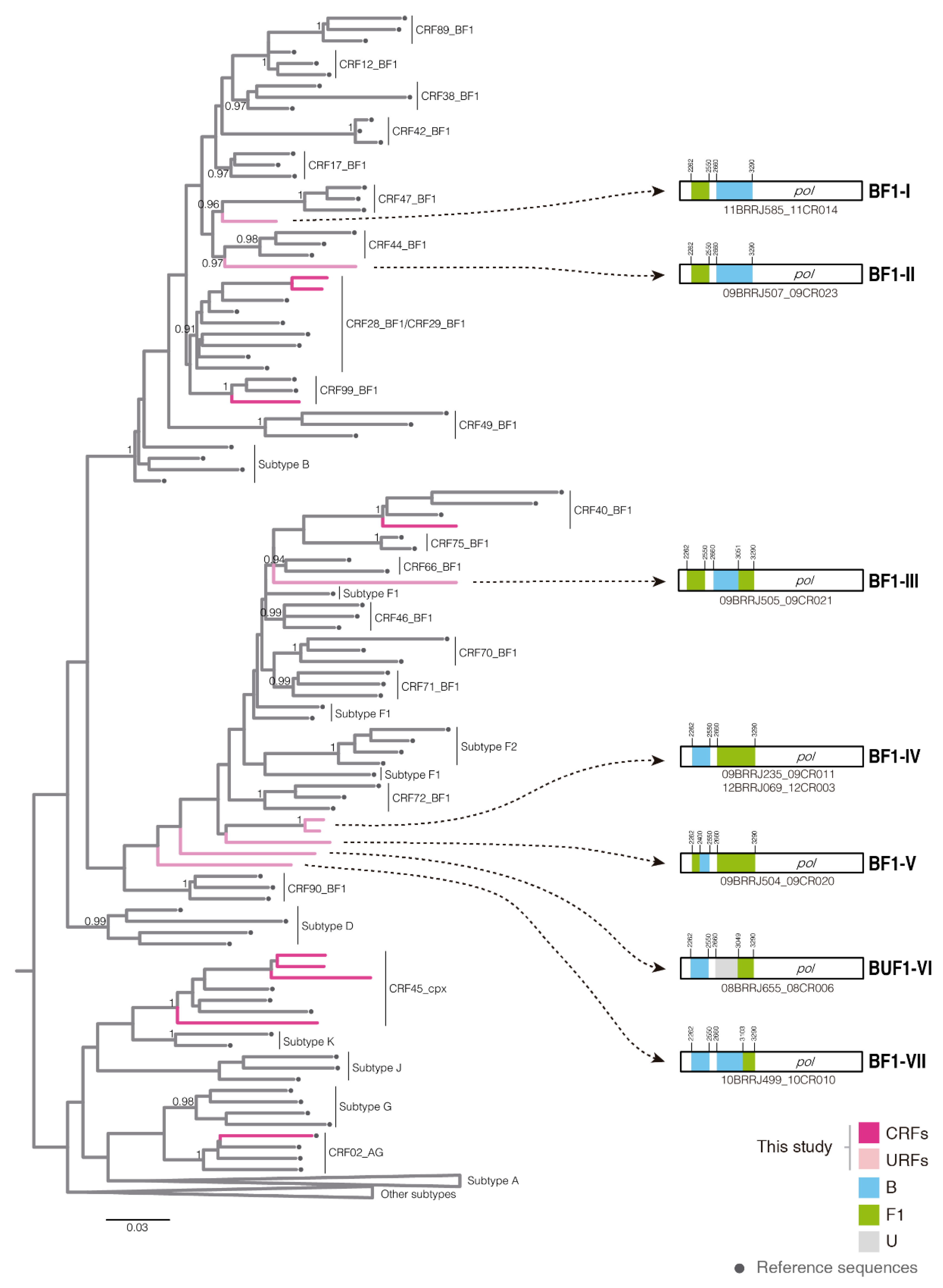 Viruses 14 01761 g002 Viruses 14 01761 g002