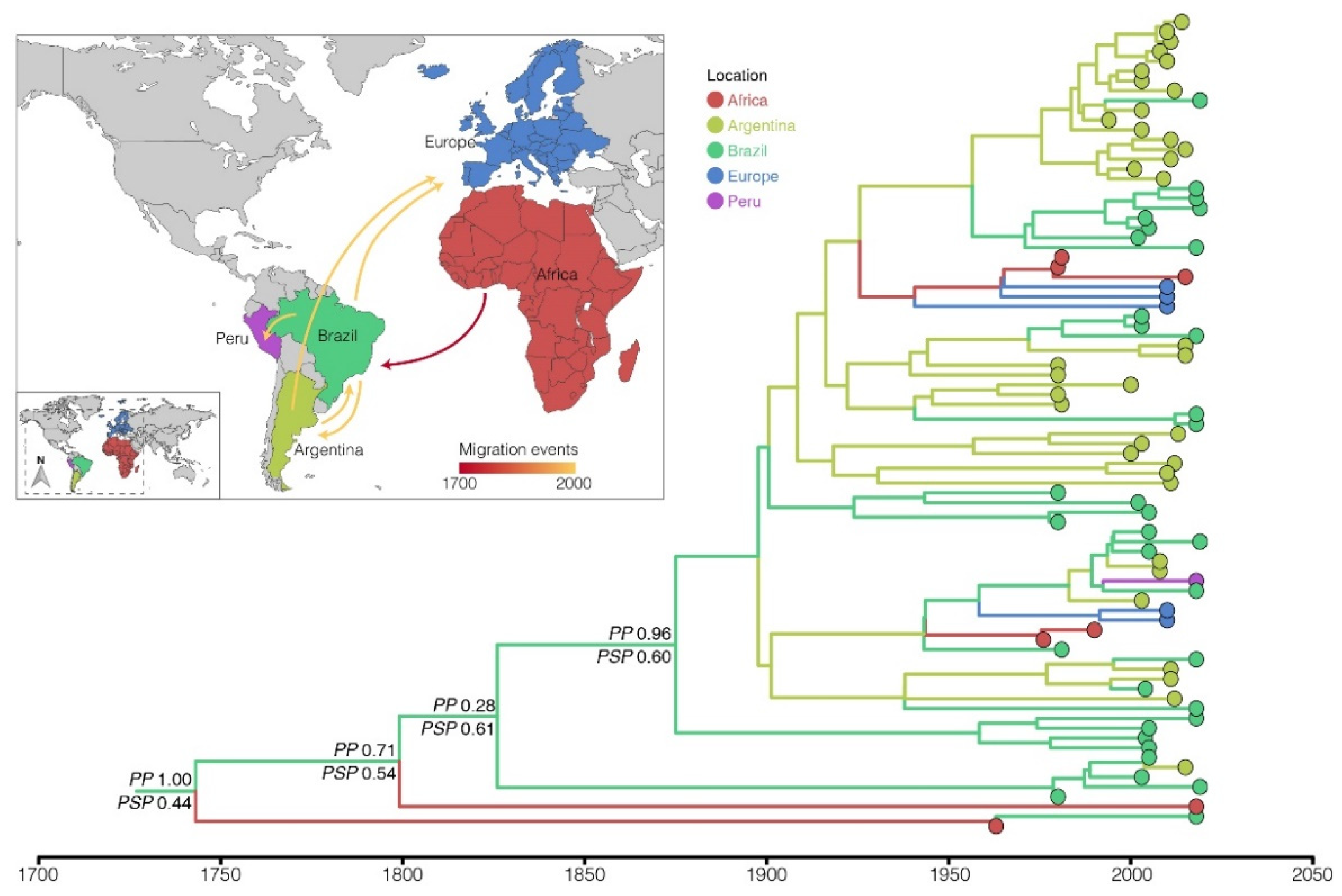 Viruses 14 01762 g004 Viruses 14 01762 g004