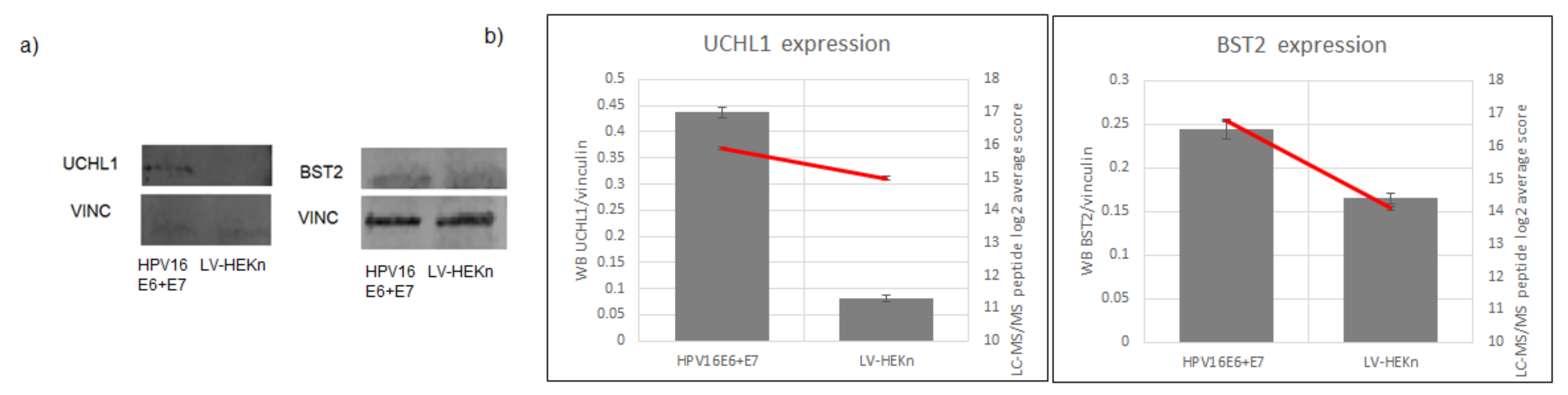 Viruses 14 01764 g002