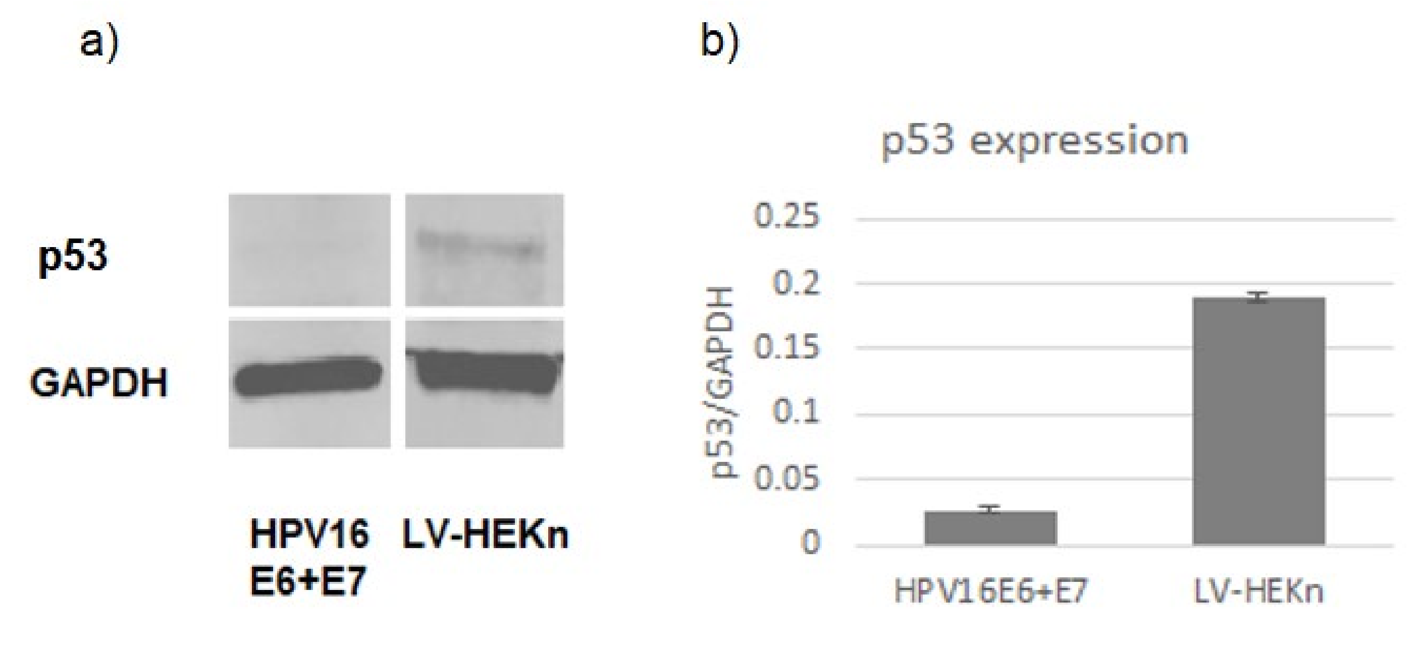 Viruses 14 01764 g003