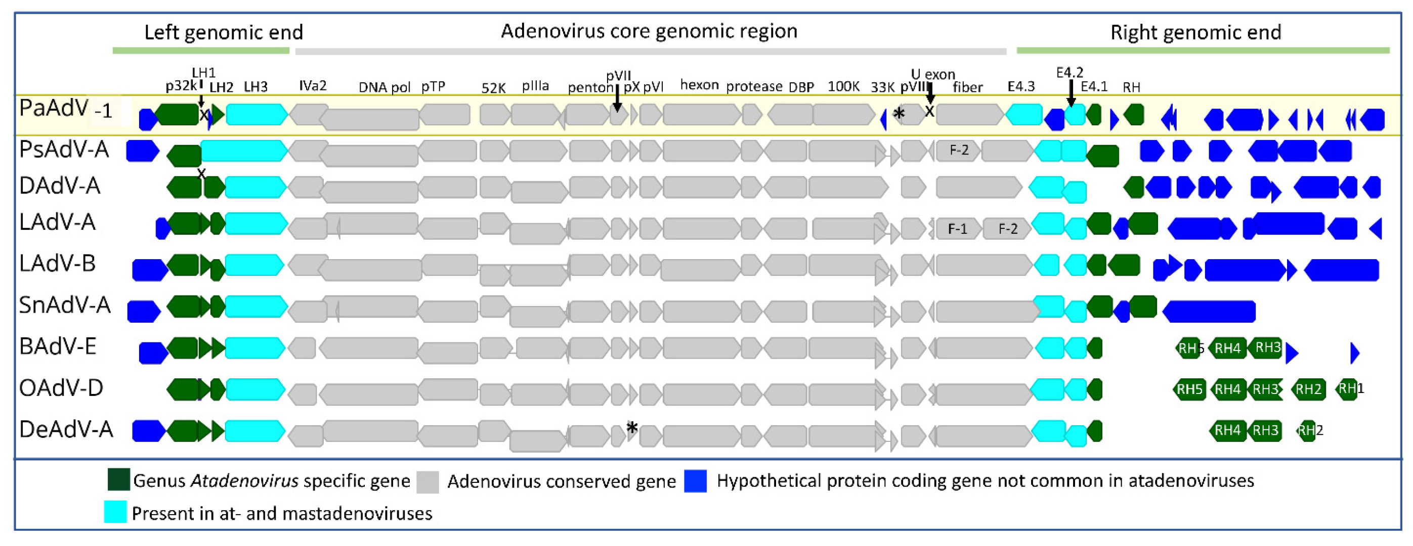 Viruses 14 01767 g001