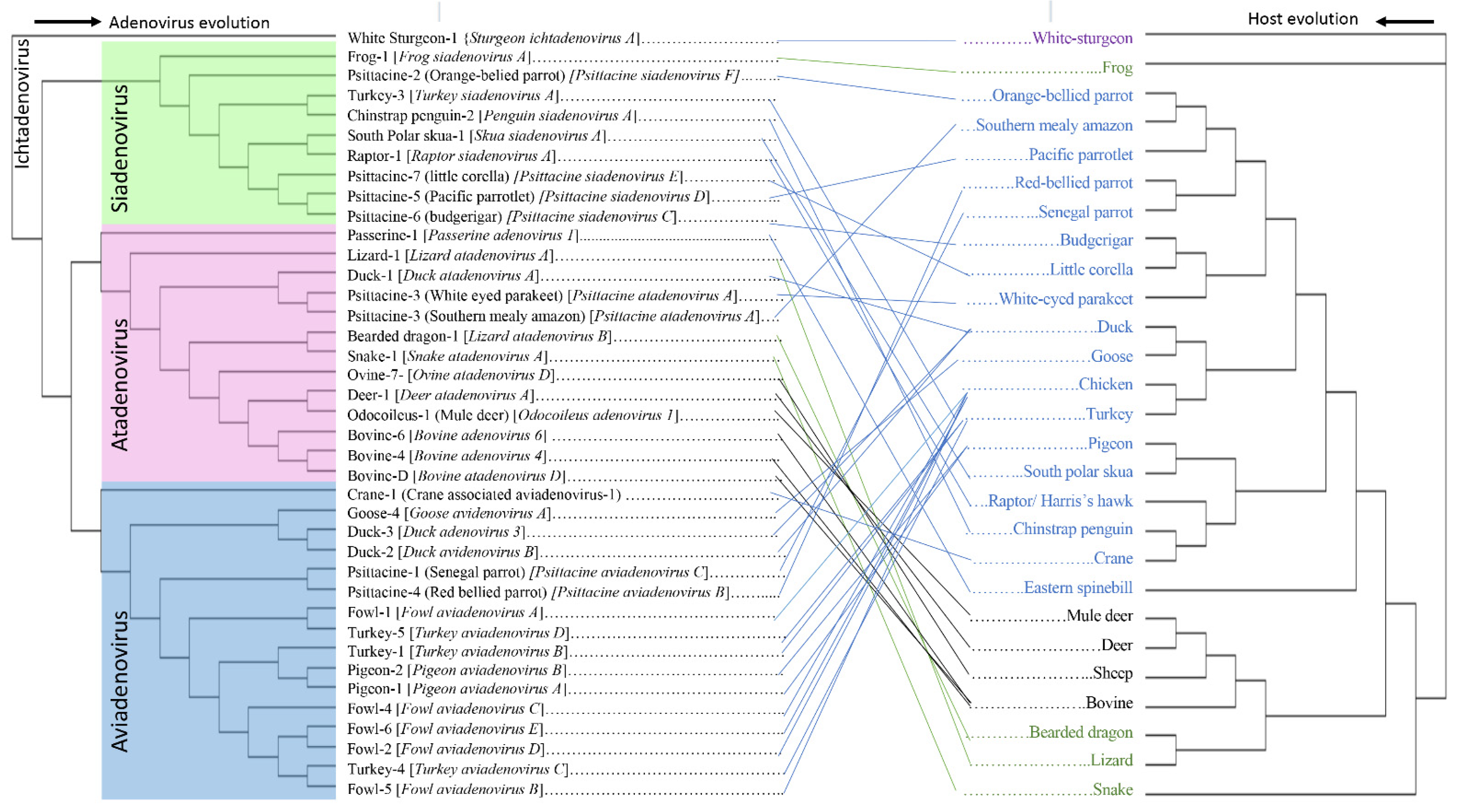 Viruses 14 01767 g002