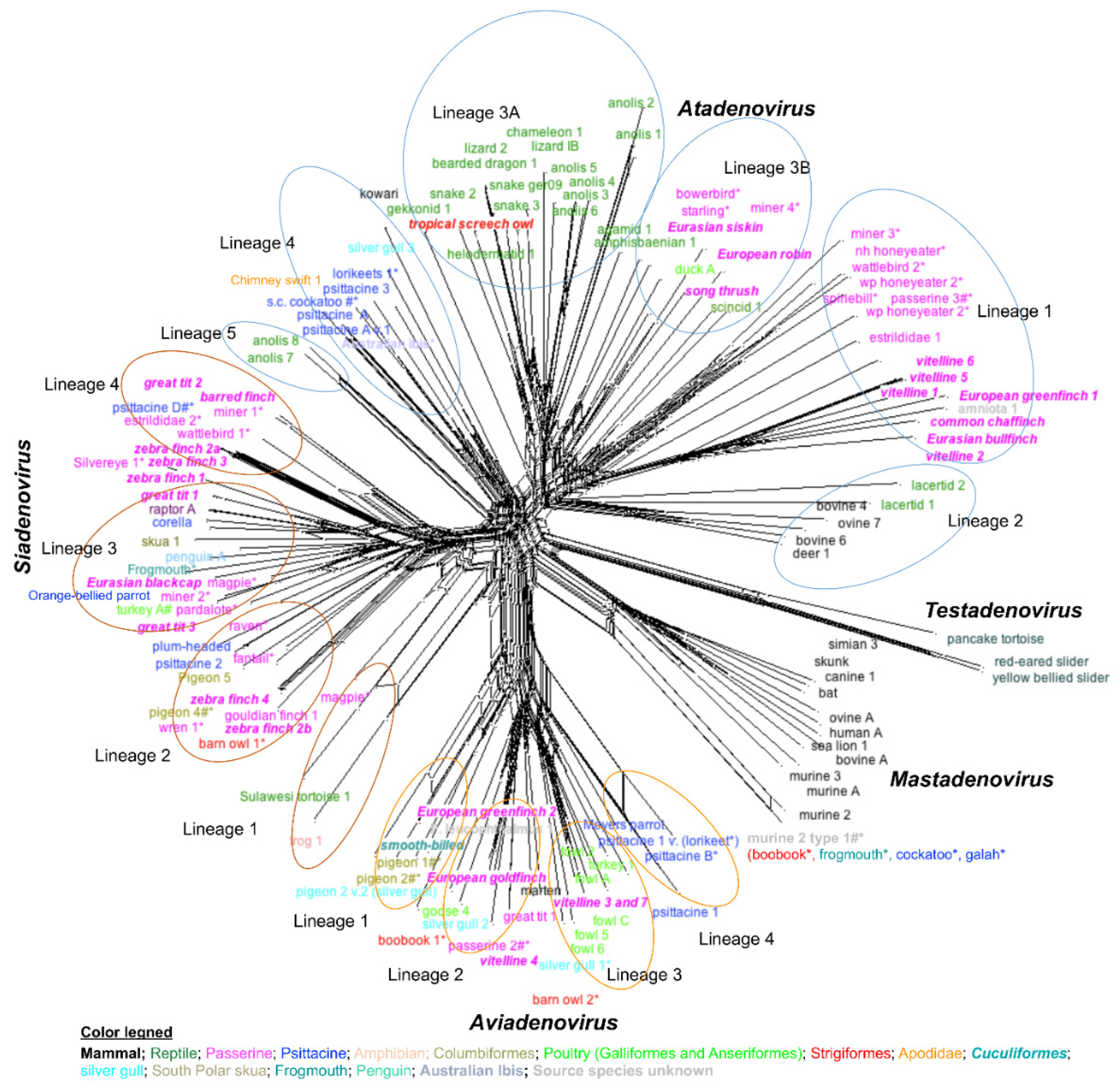 Viruses 14 01767 g003