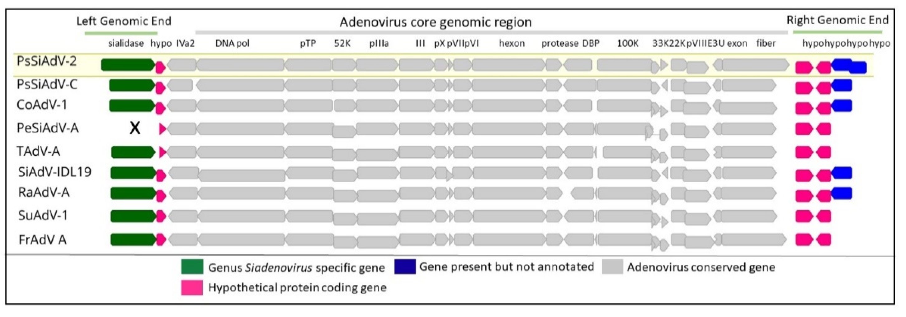 Viruses 14 01767 g004