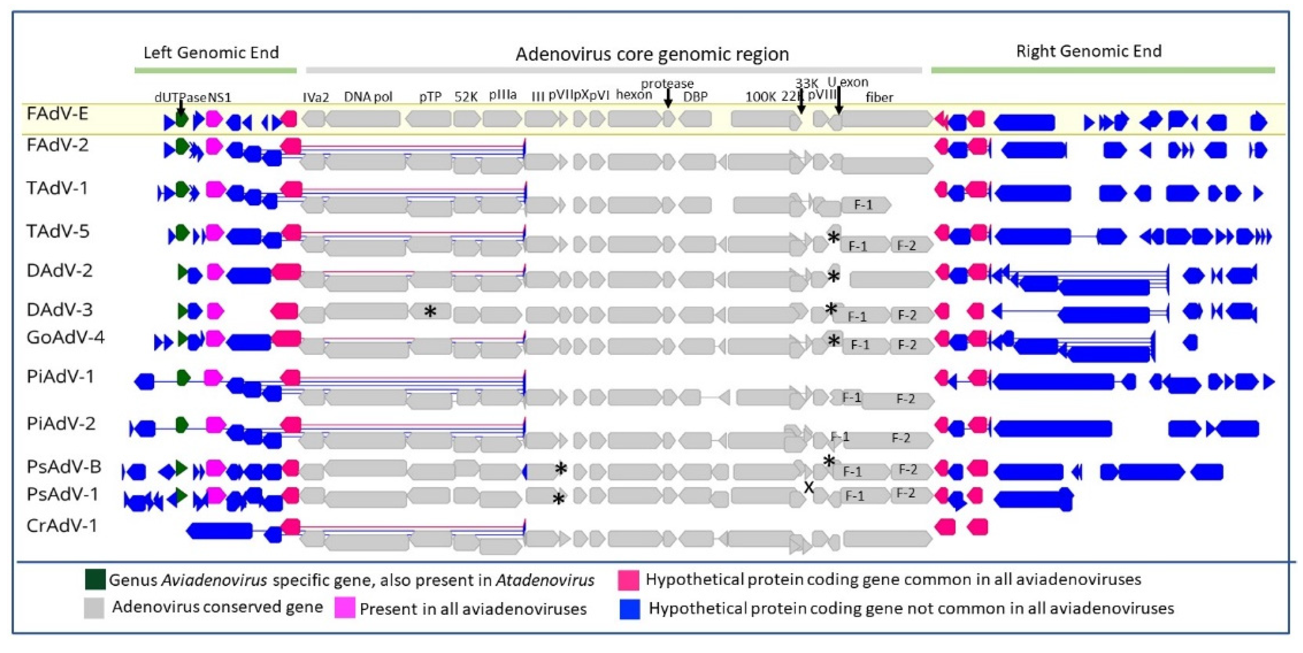 Viruses 14 01767 g005