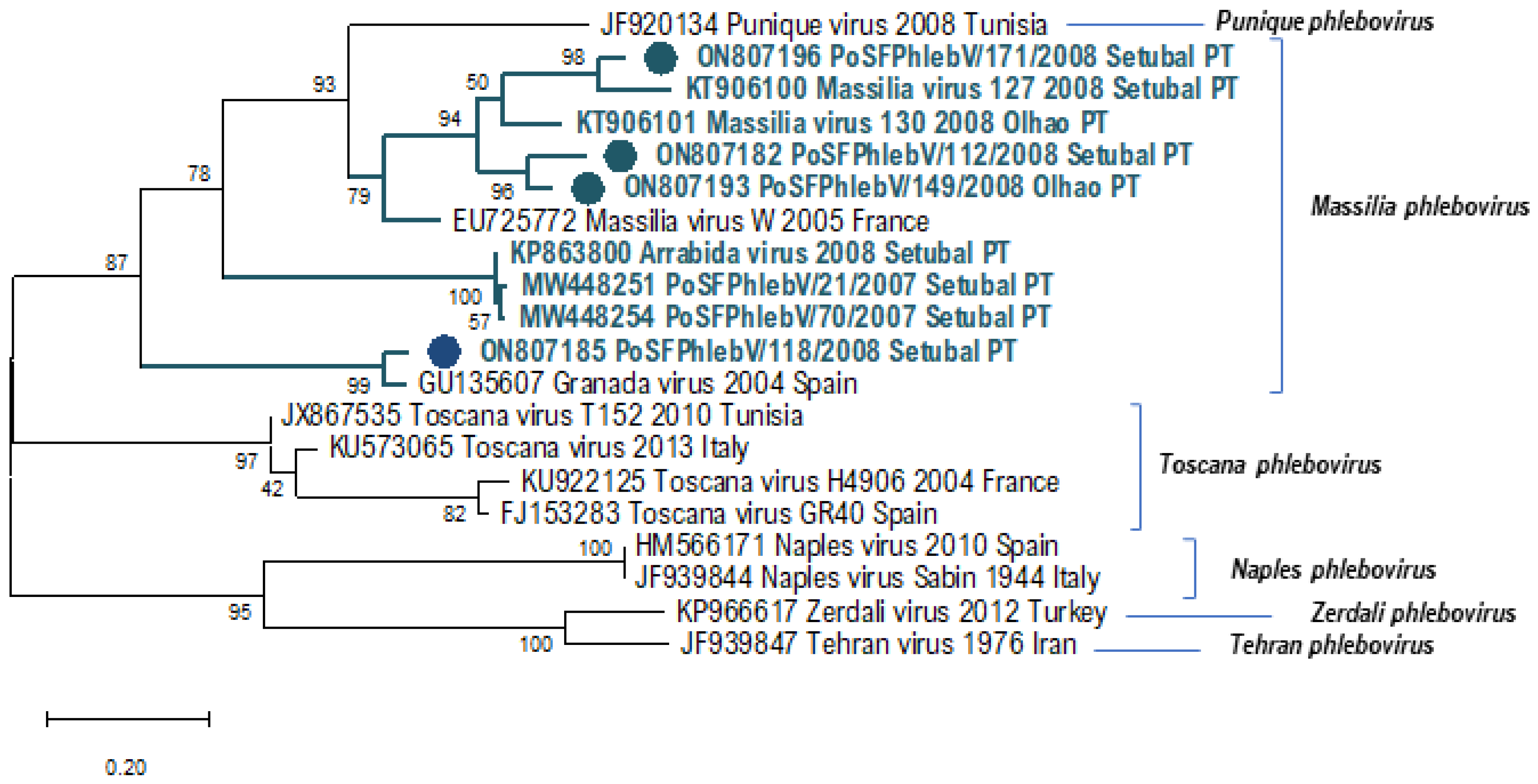 Viruses 14 01768 g002 Viruses 14 01768 g002