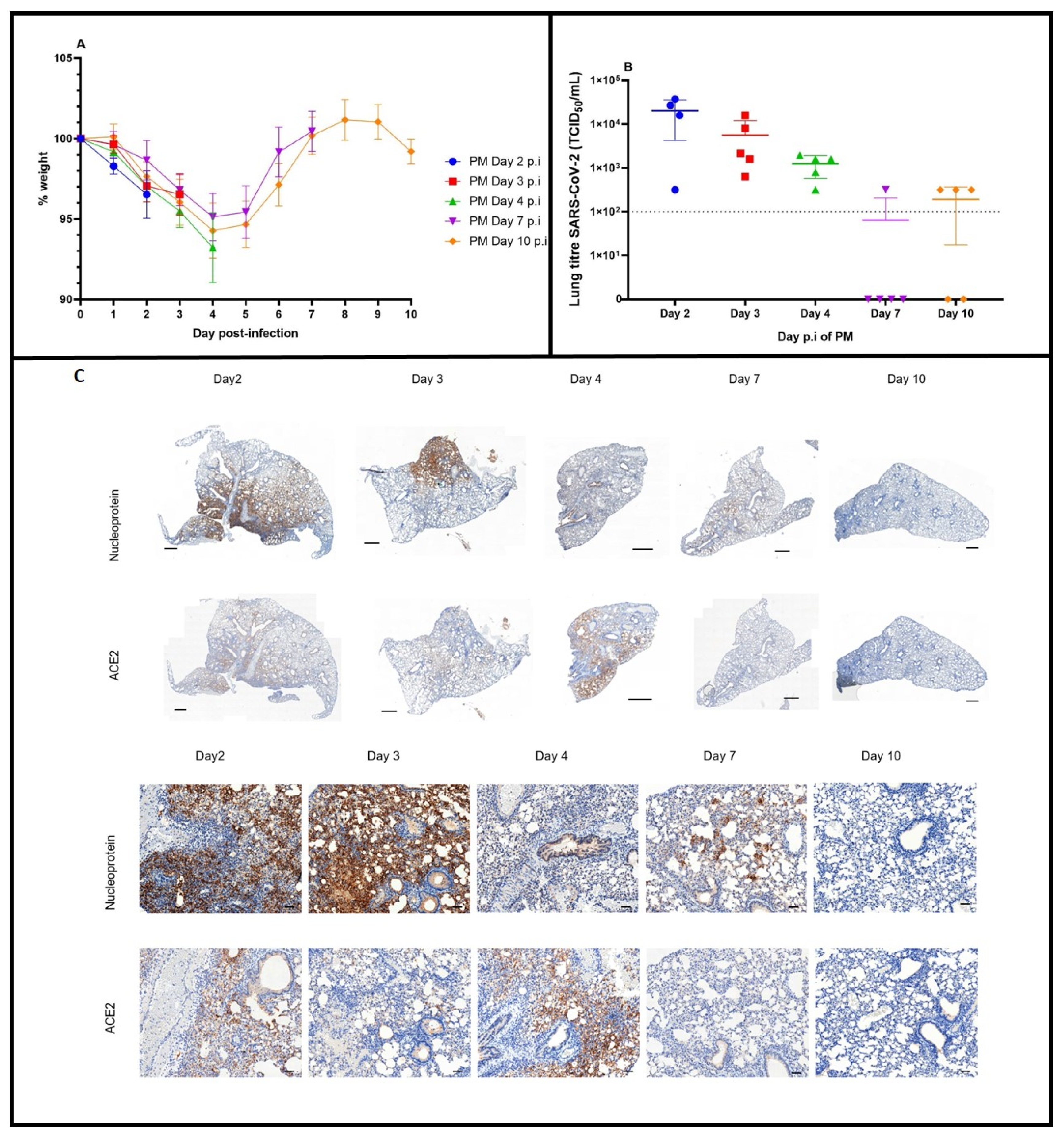 Viruses 14 01769 g003 550