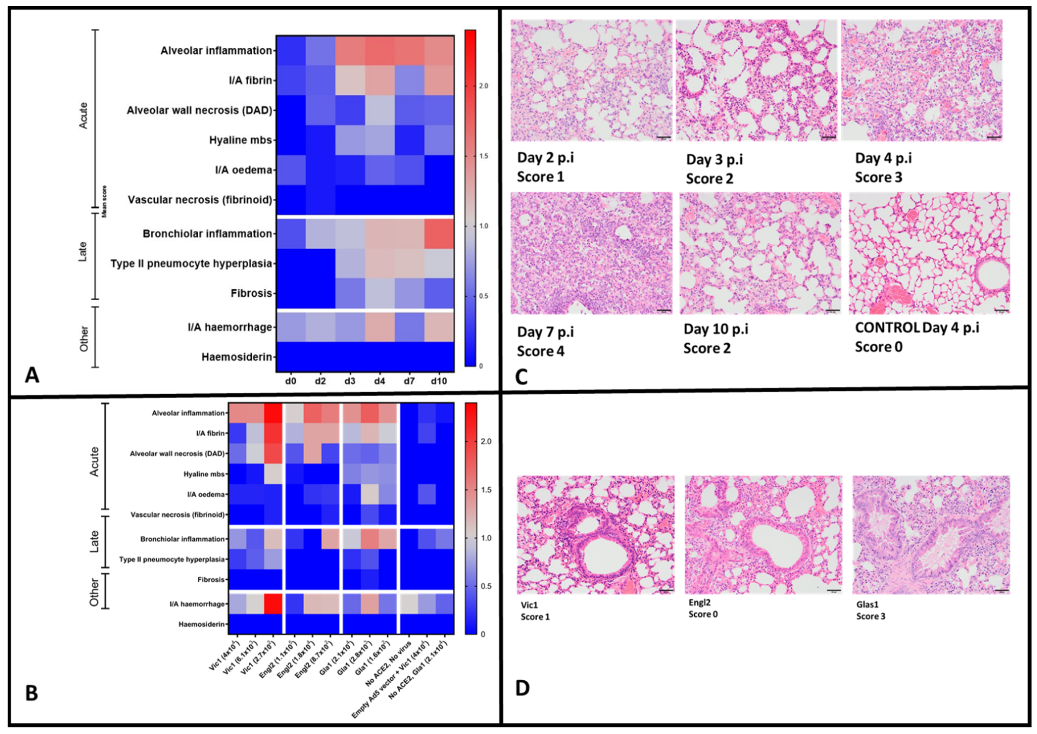 Viruses 14 01769 g005 550