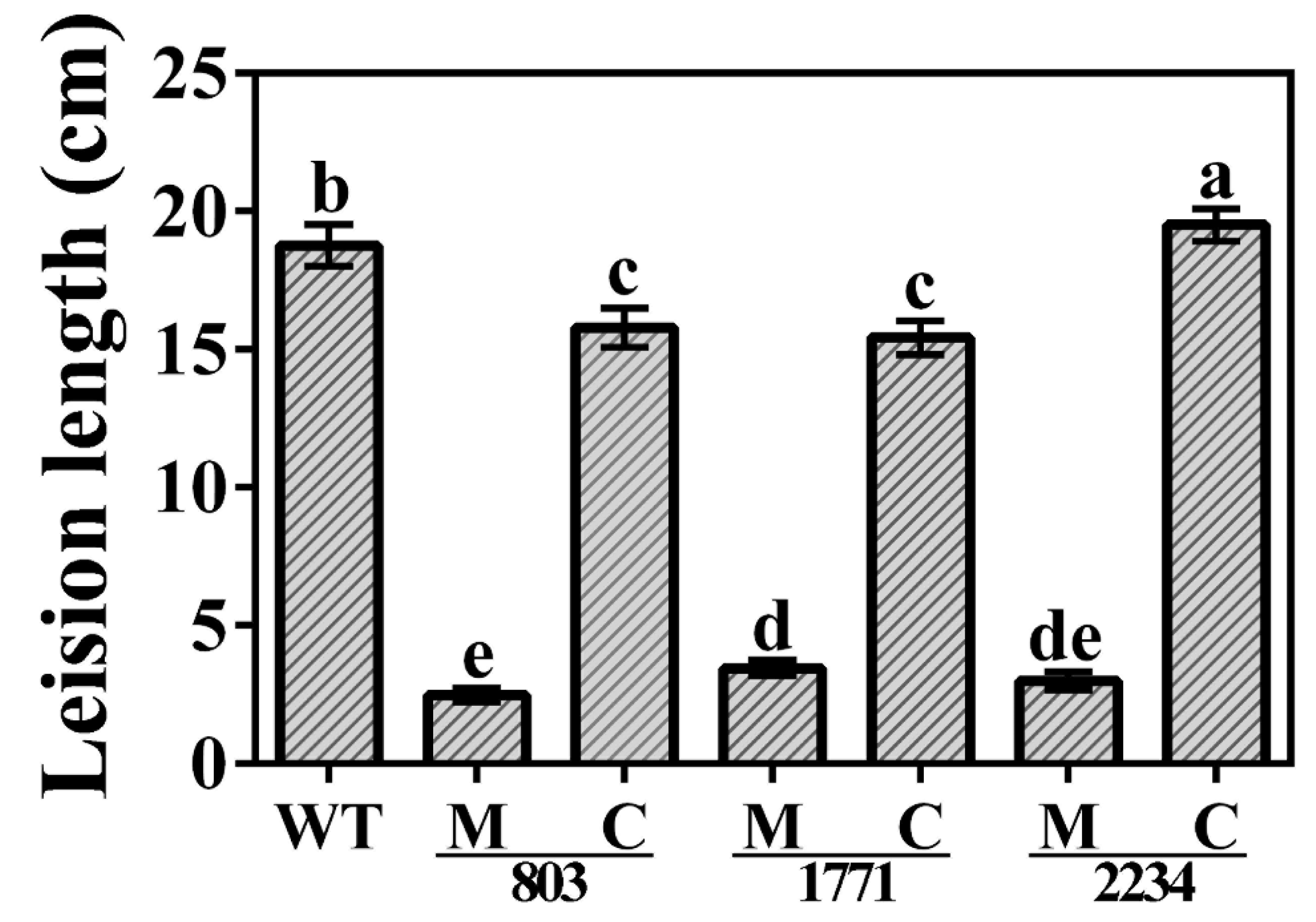 Viruses 14 01770 g008 Viruses 14 01770 g008