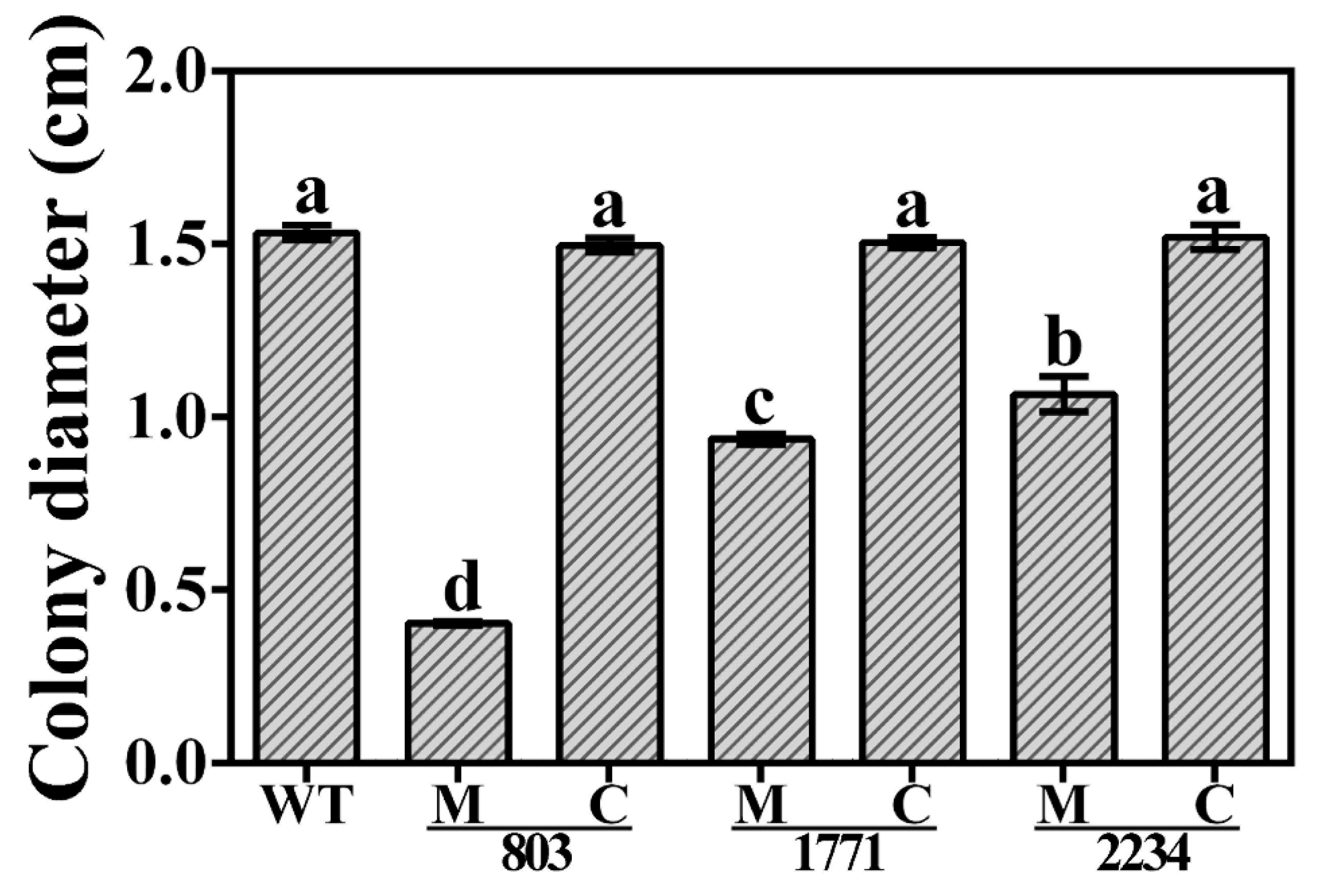 Viruses 14 01770 g009 Viruses 14 01770 g009